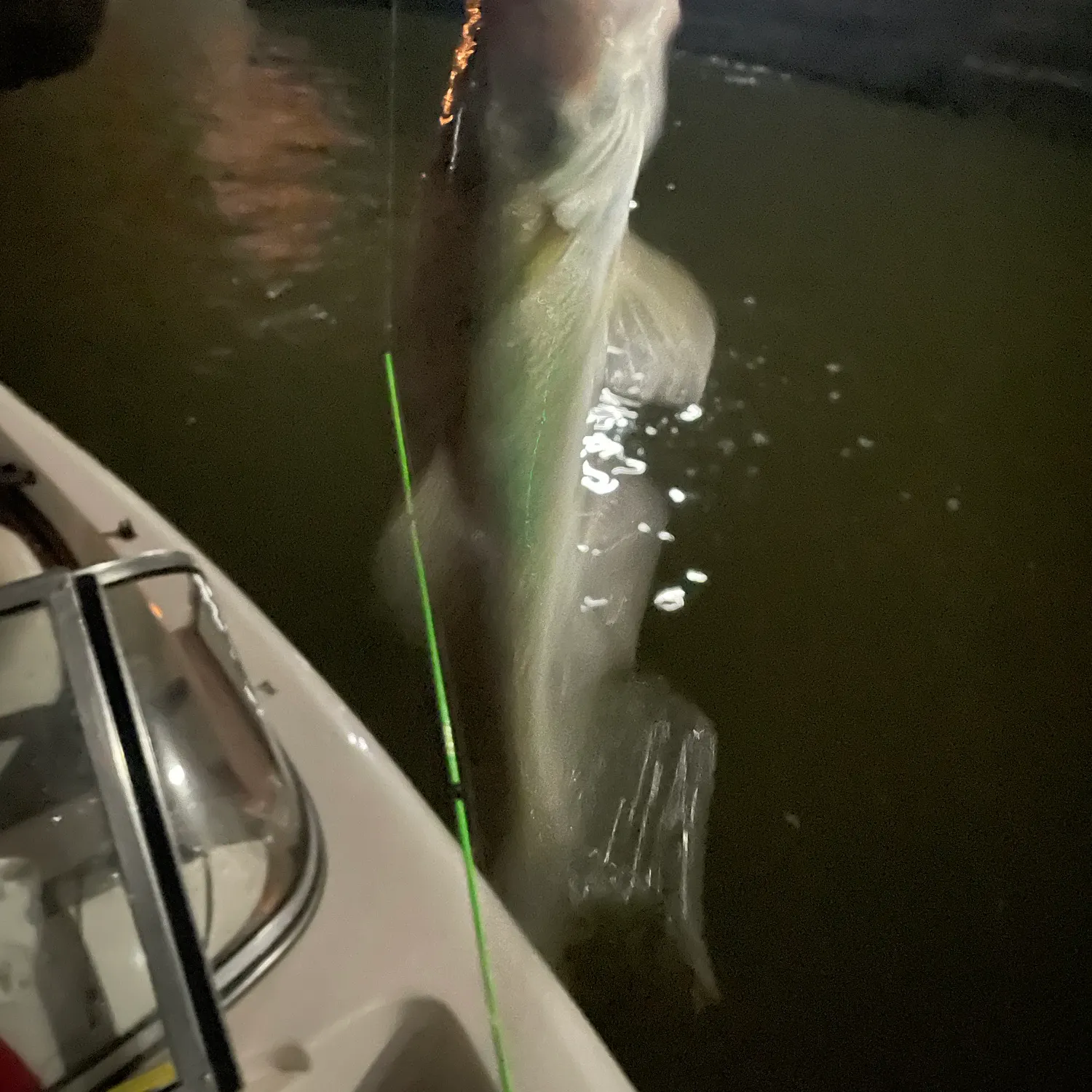 Walleye caught on Fishbrain