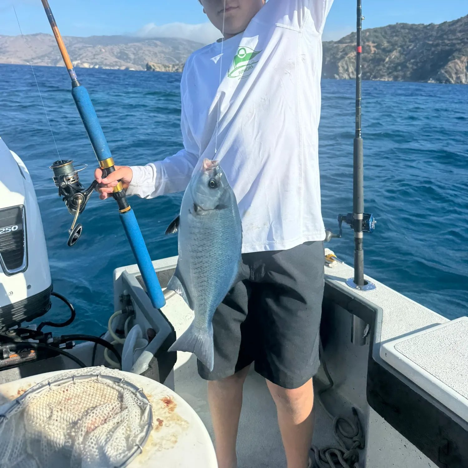 The most recent Halfmoon catches on Fishbrain