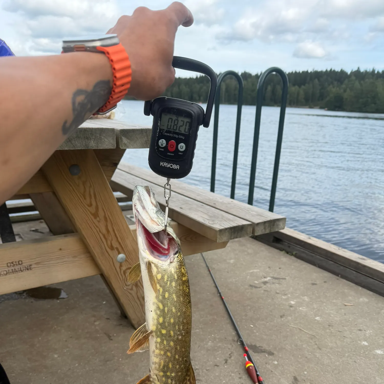 catch