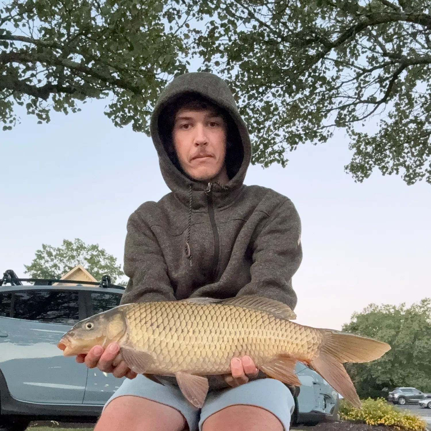 Common carp caught on Fishbrain