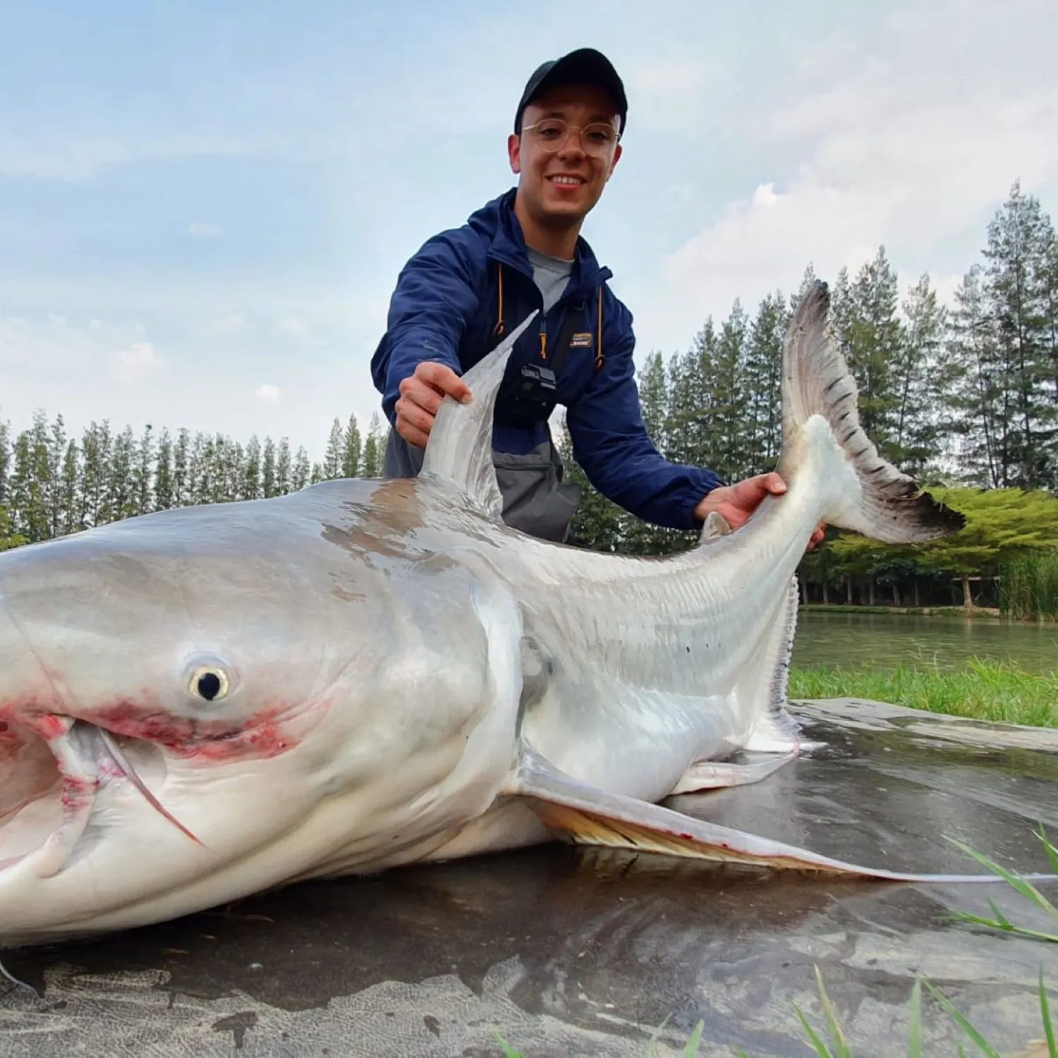 The most popular recent Mekong giant catfish catch on Fishbrain