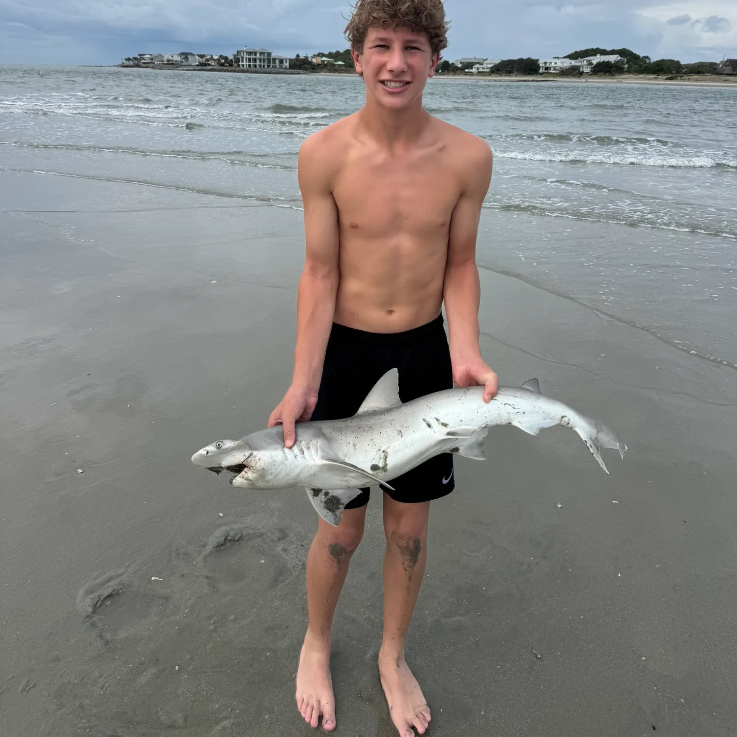 Bonnethead shark caught on Fishbrain