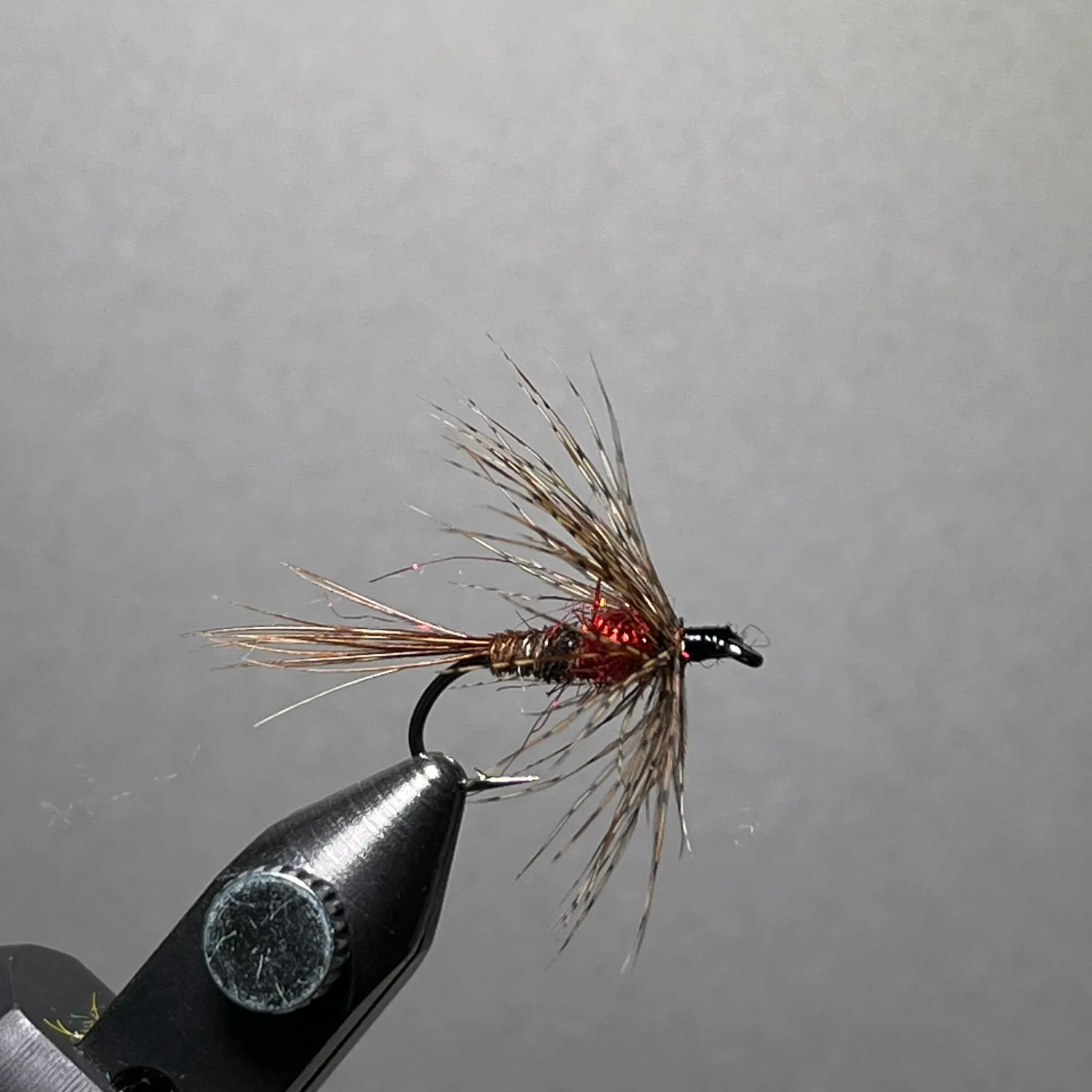 Brown trout caught on Fishbrain