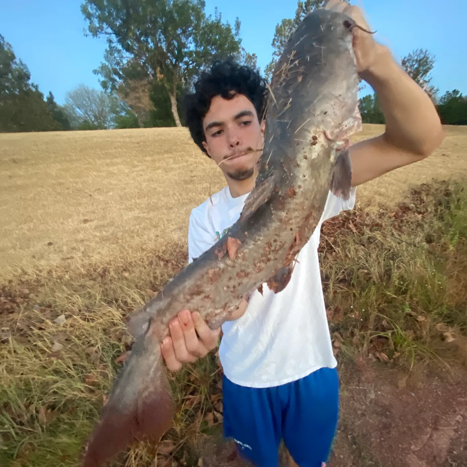 Channel catfish caught on Fishbrain