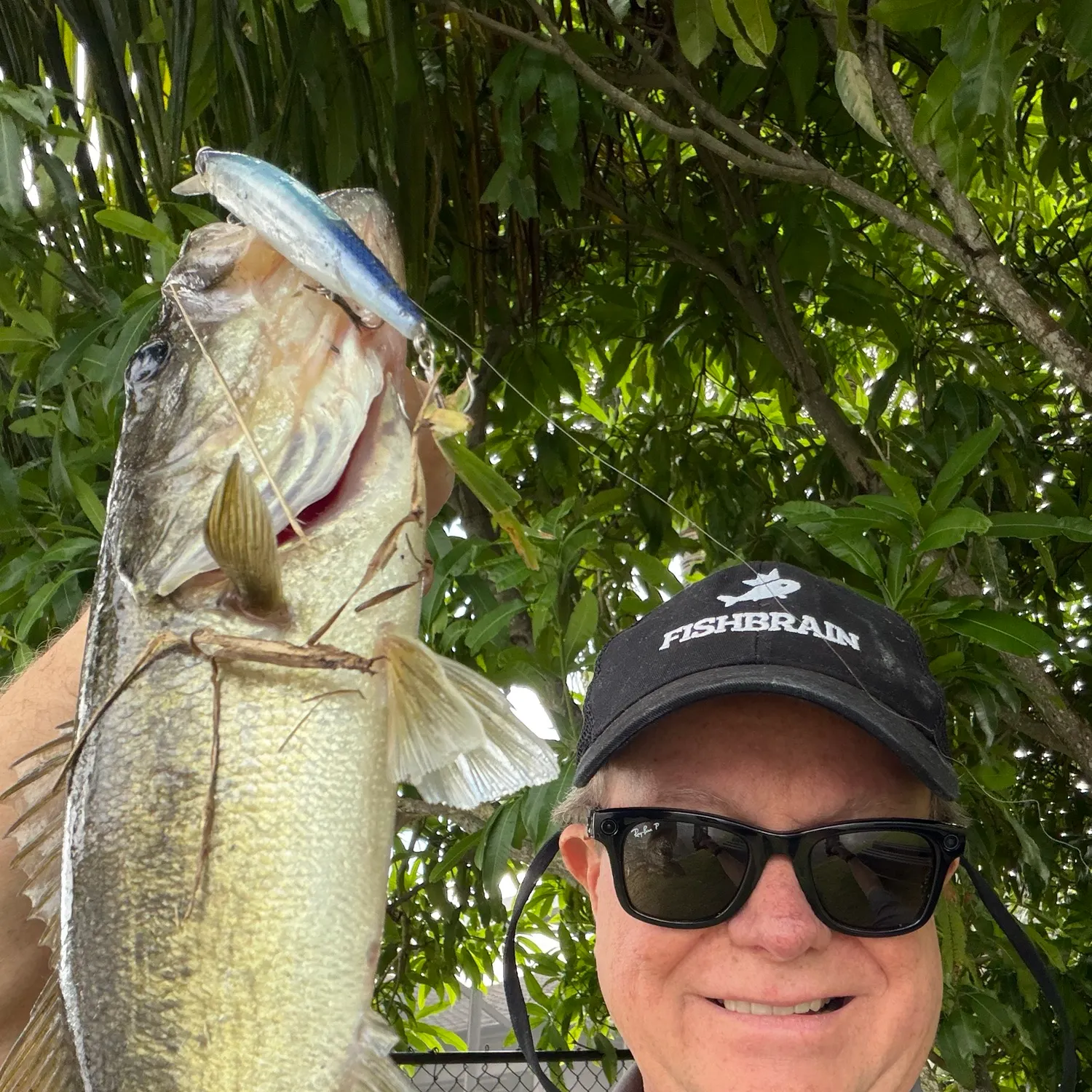 Florida bass caught on Fishbrain