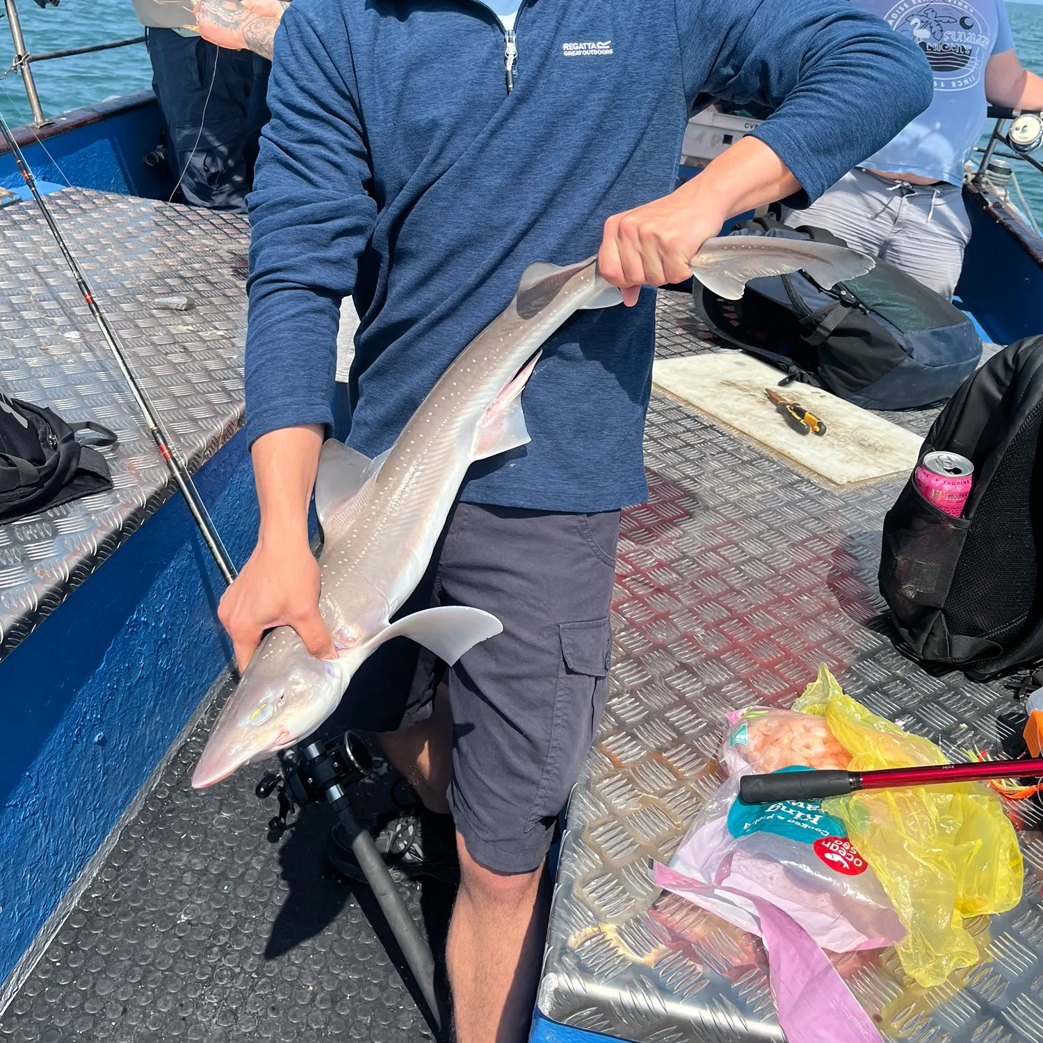 The most recent Common smooth-hound catches on Fishbrain