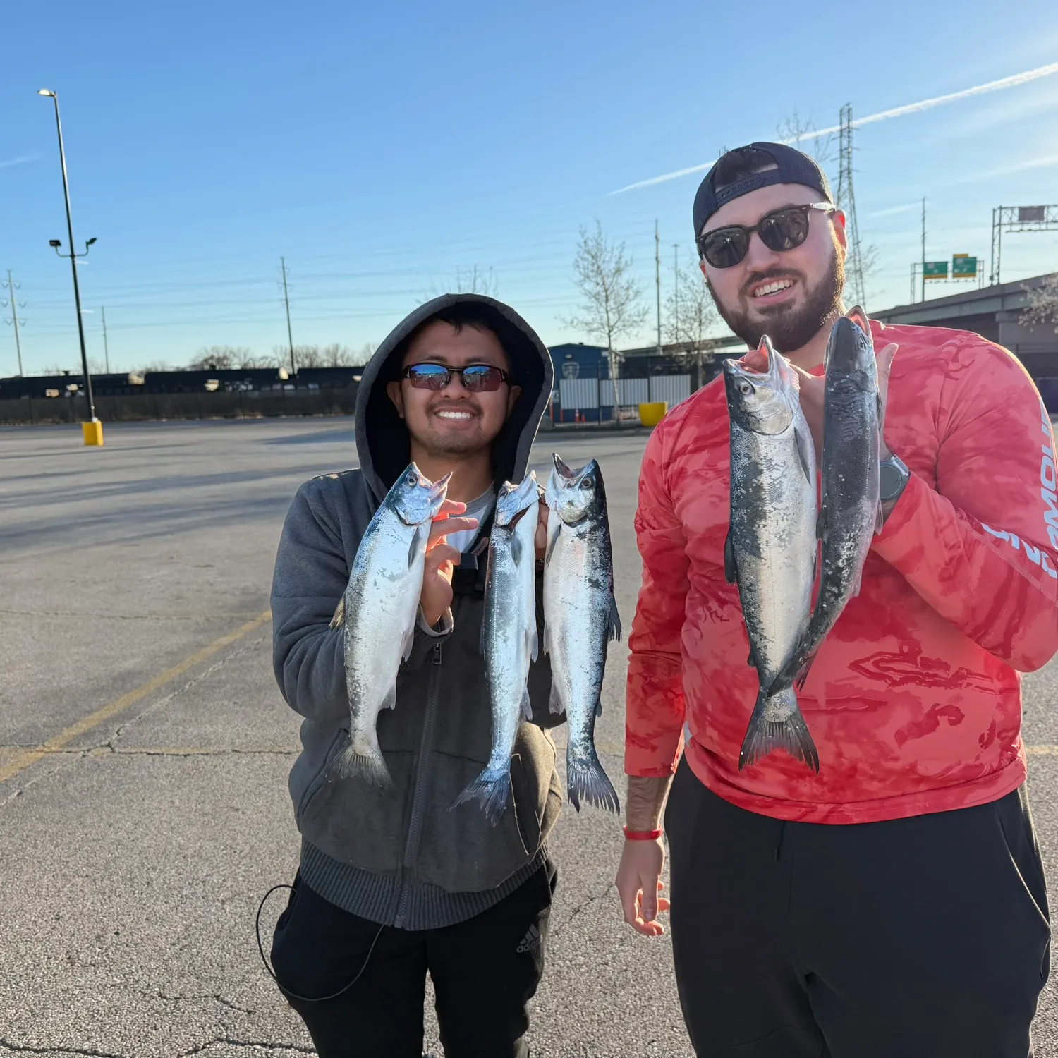 The most recent Coho salmon catches on Fishbrain