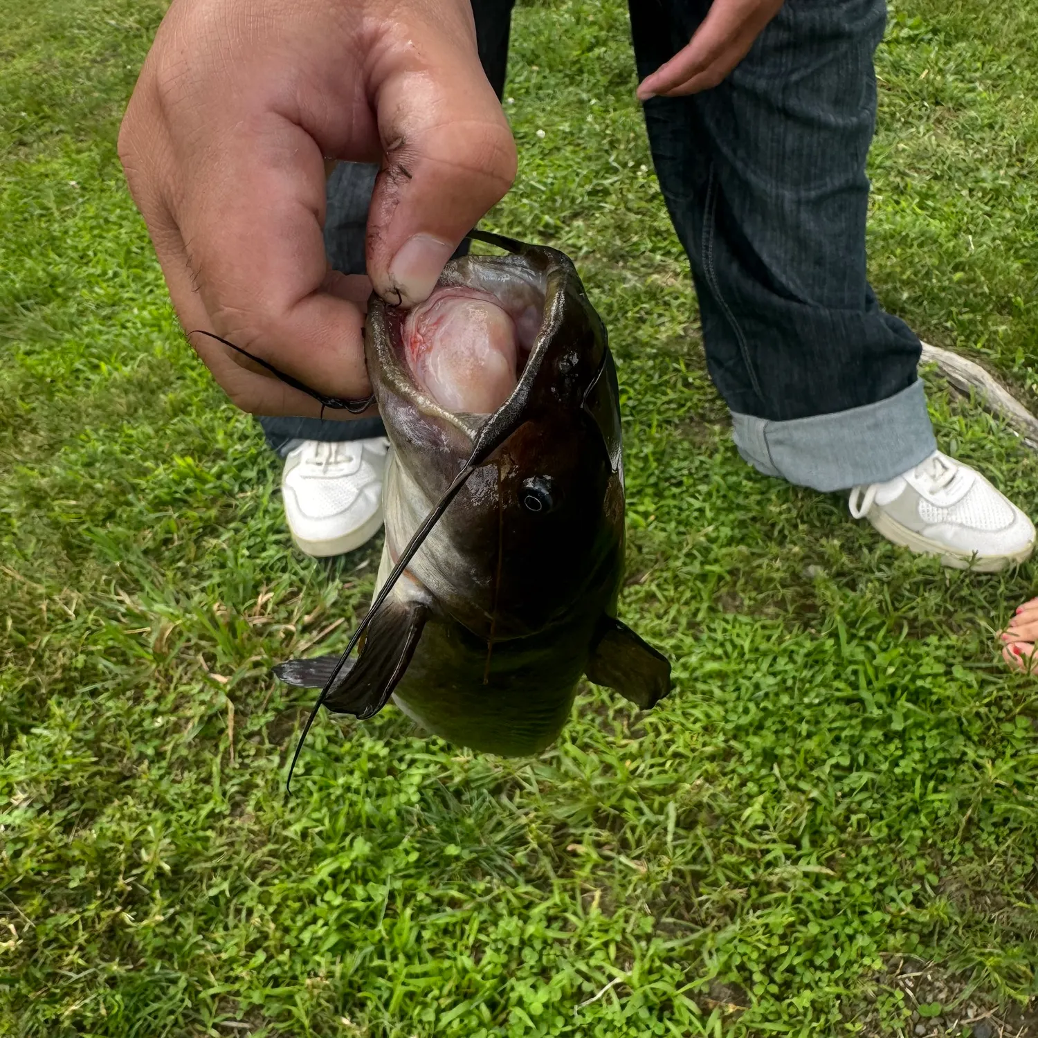 catch