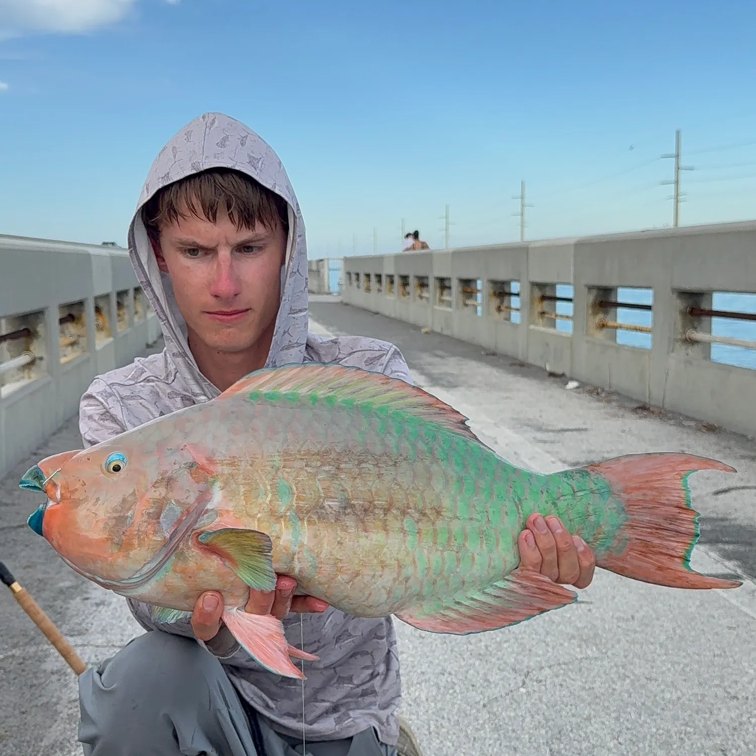 The most recent Rainbow parrotfish catches on Fishbrain