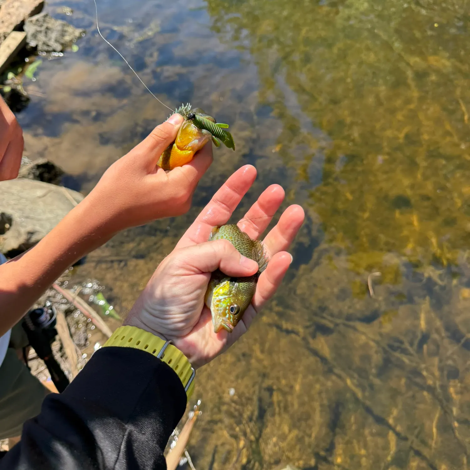 catch