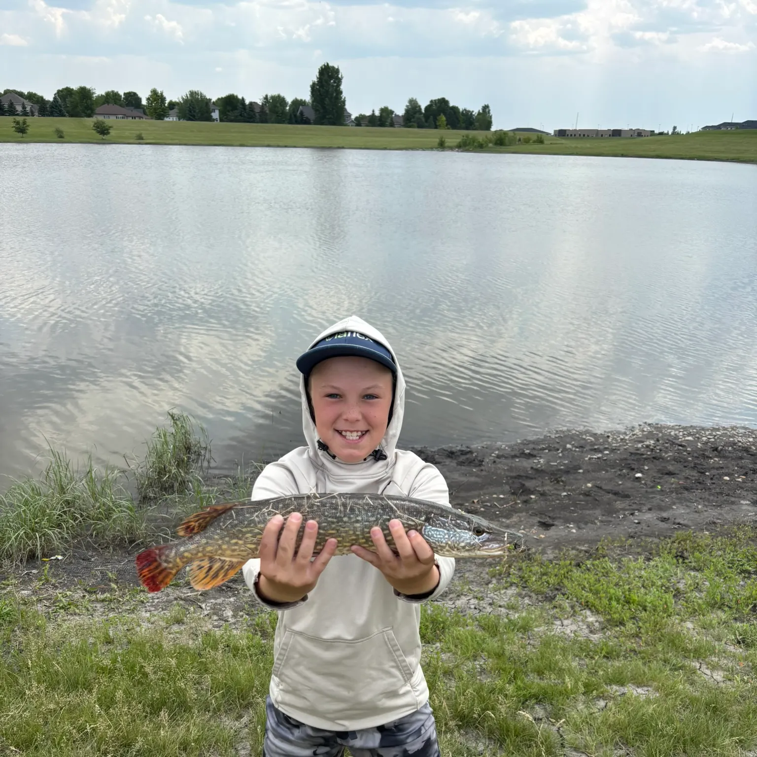 The most recent Redfin pickerel catches on Fishbrain