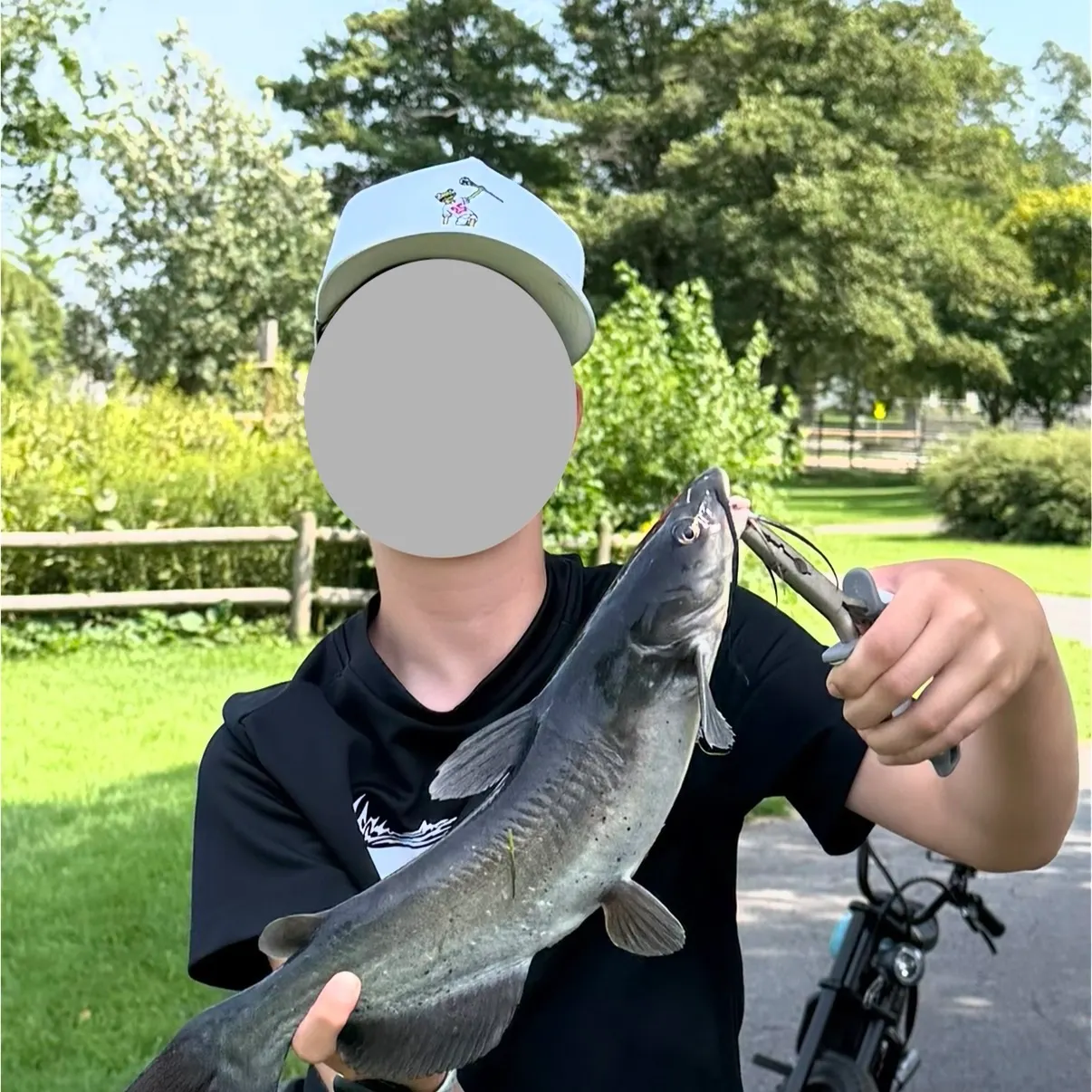 Channel catfish caught on Fishbrain