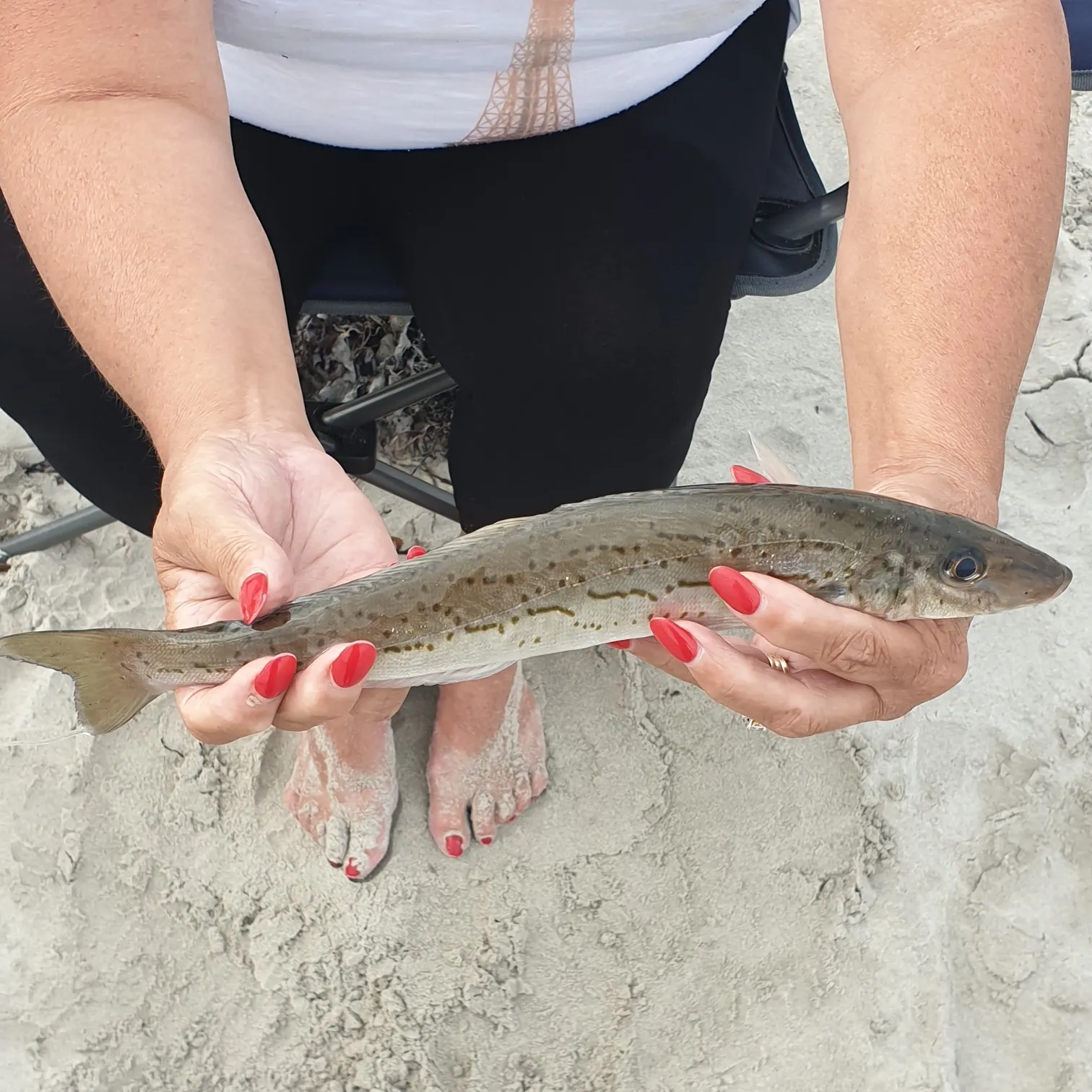 King George whiting caught on Fishbrain