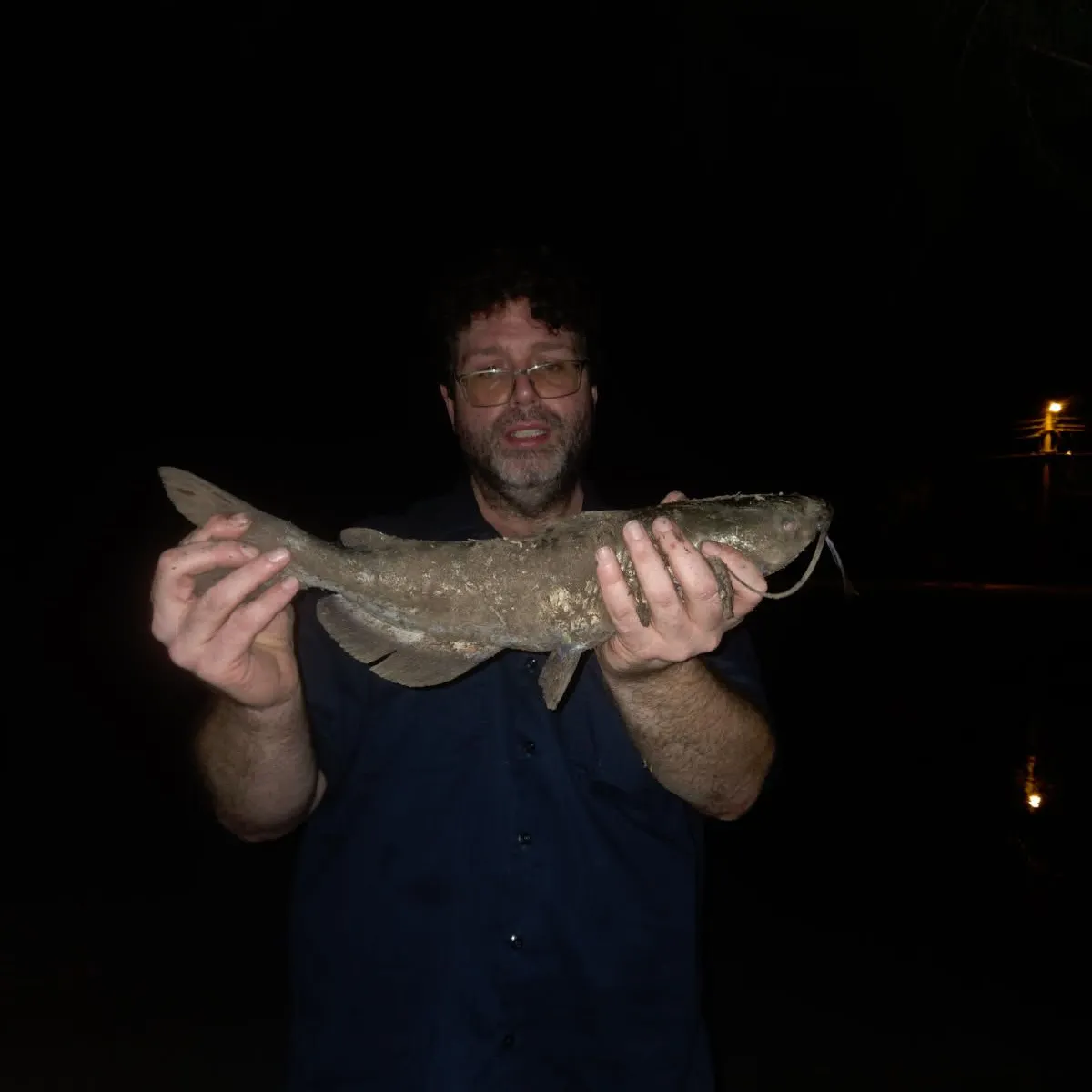 Channel catfish caught on Fishbrain