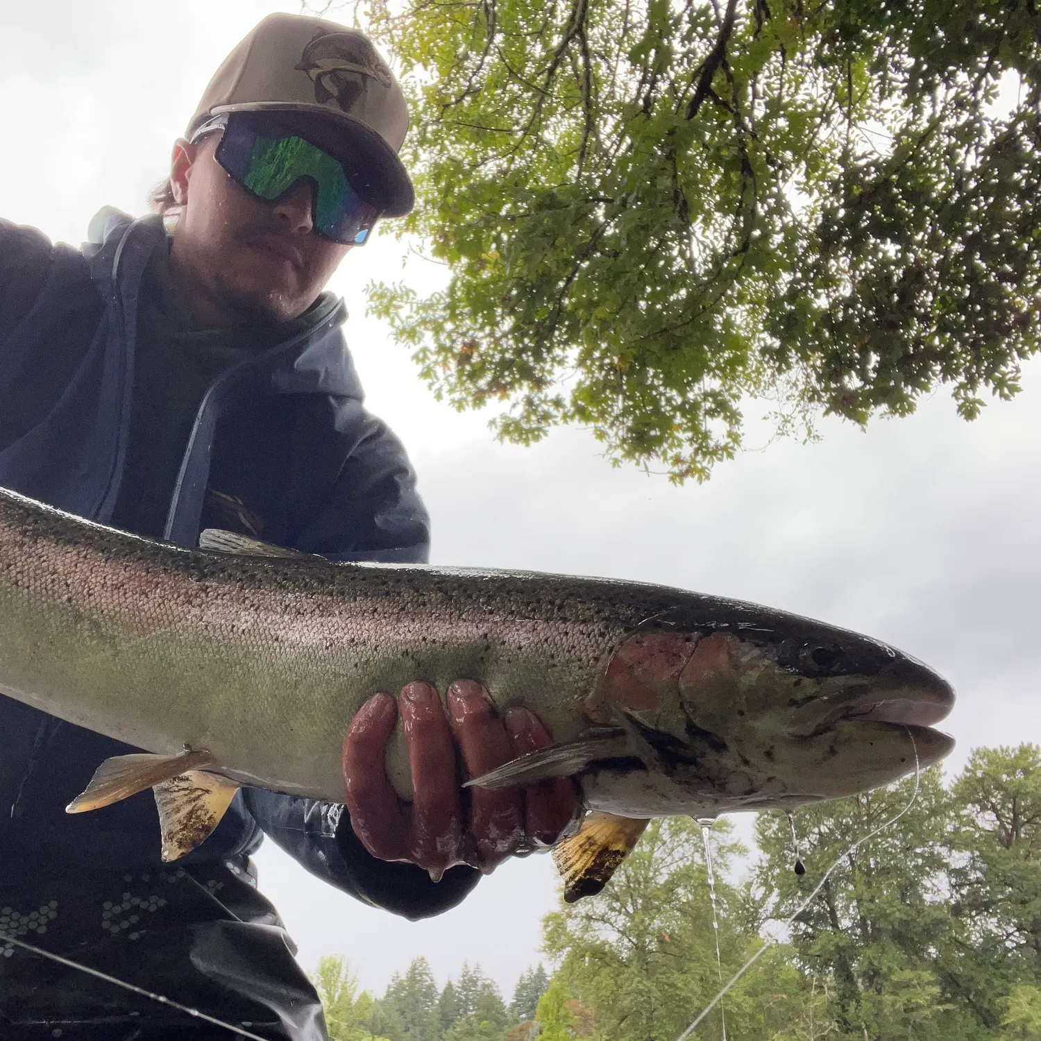 Steelhead caught on Fishbrain