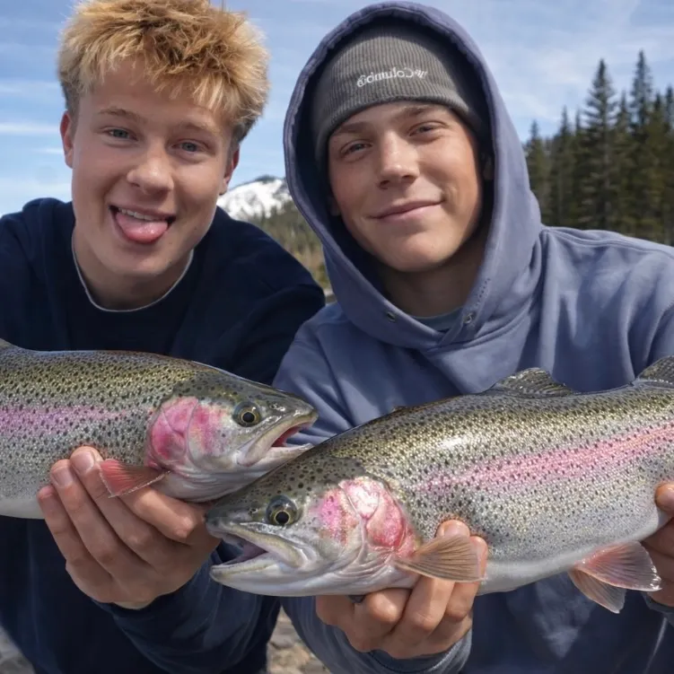 The most recent Rainbow trout catches on Fishbrain
