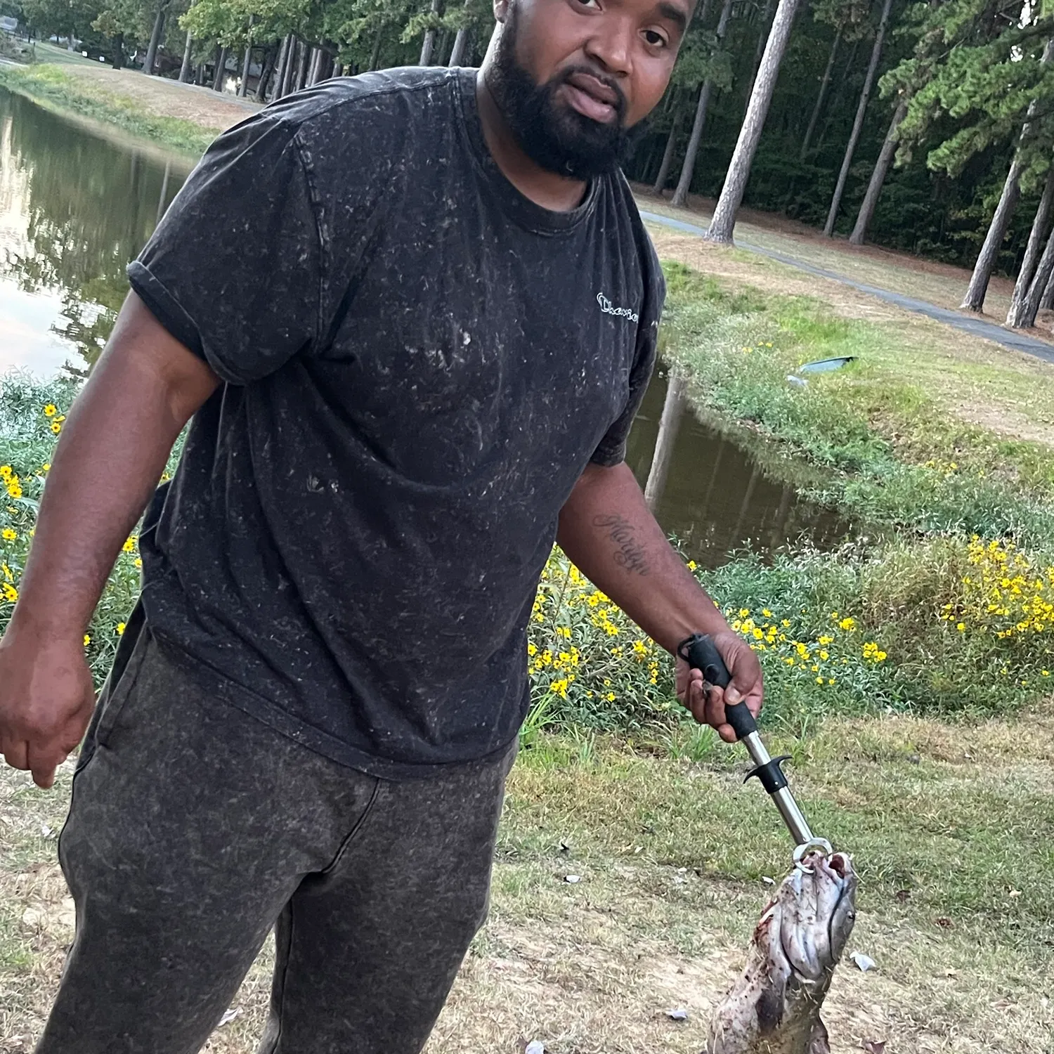Channel catfish caught on Fishbrain