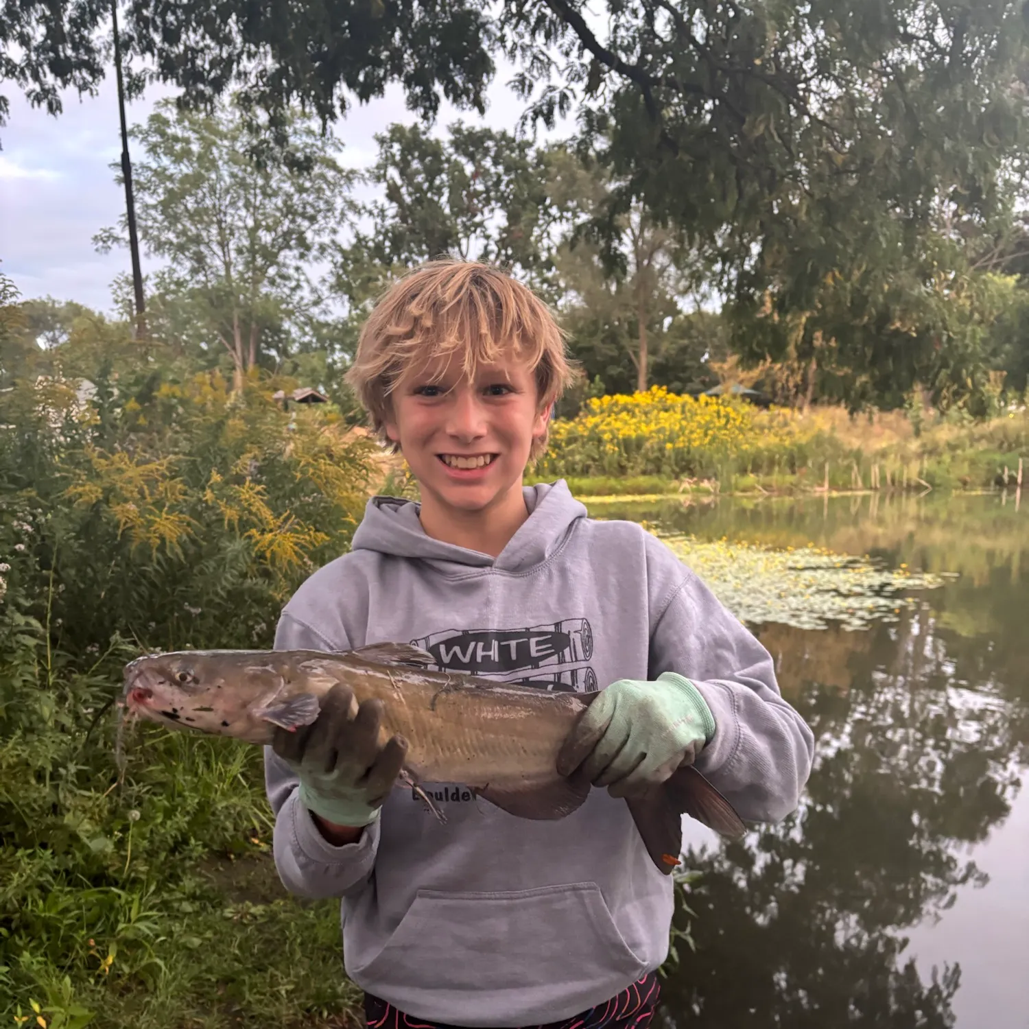 Channel catfish caught on Fishbrain