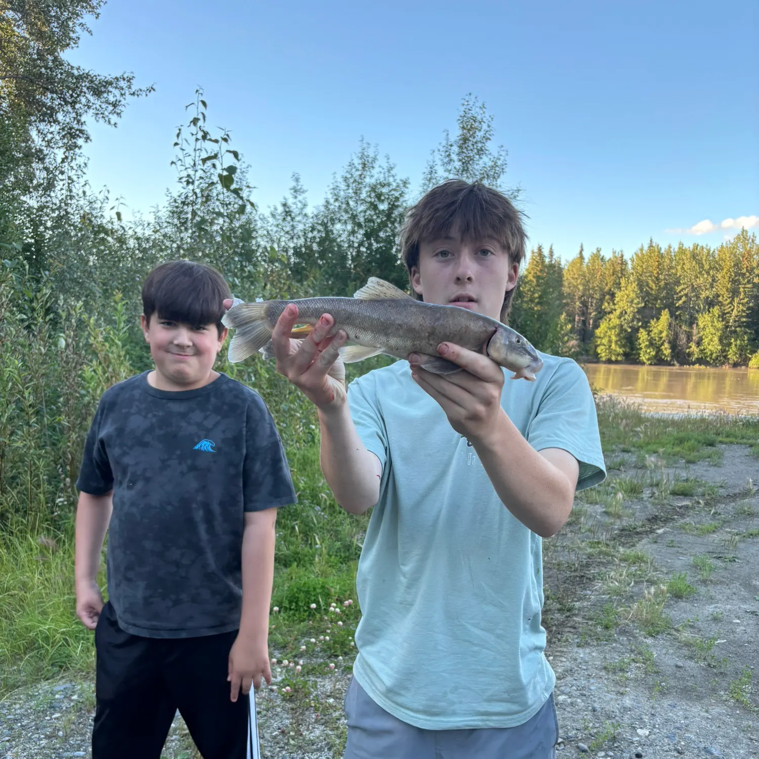 The most recent Longnose sucker catches on Fishbrain
