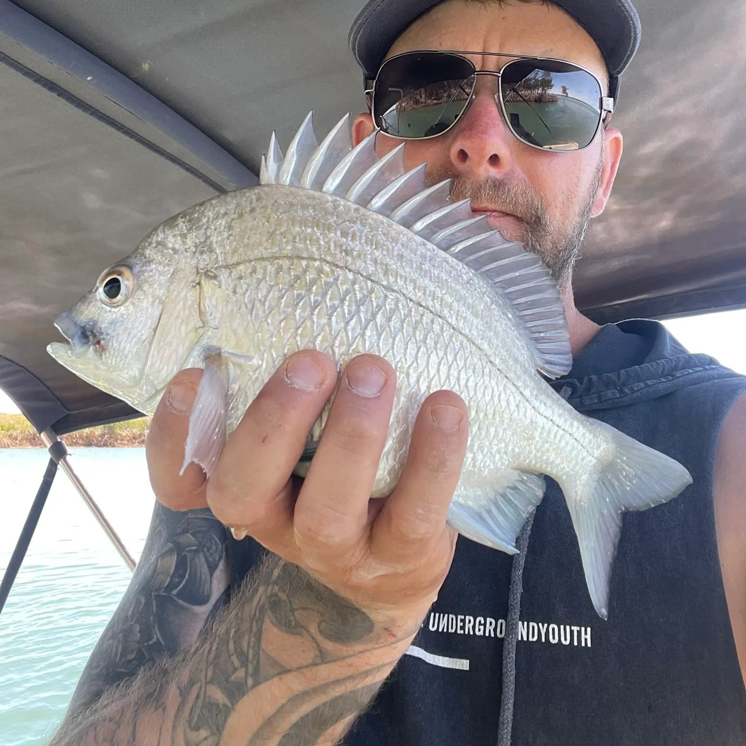 Surf bream caught on Fishbrain