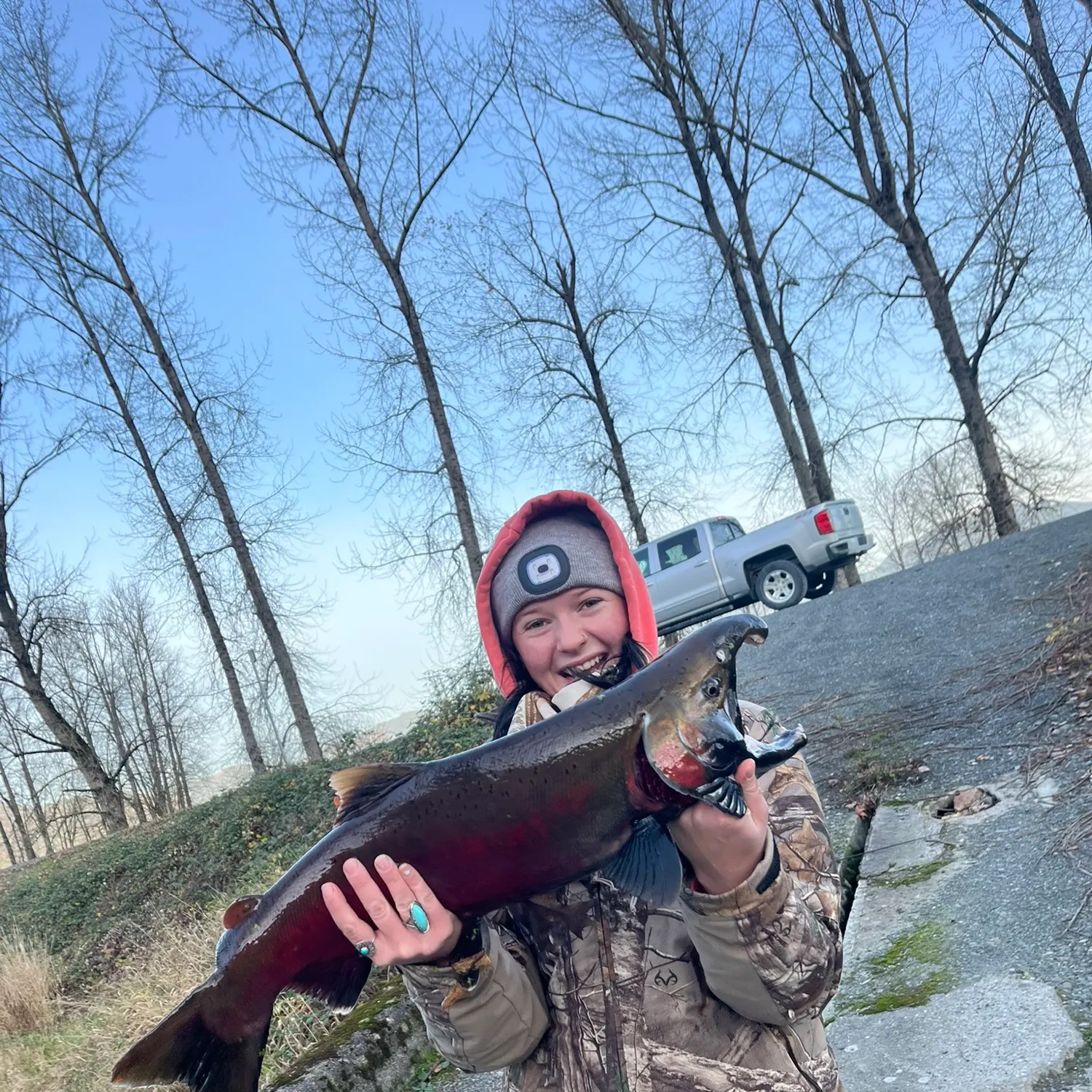 The most recent Chum salmon catches on Fishbrain