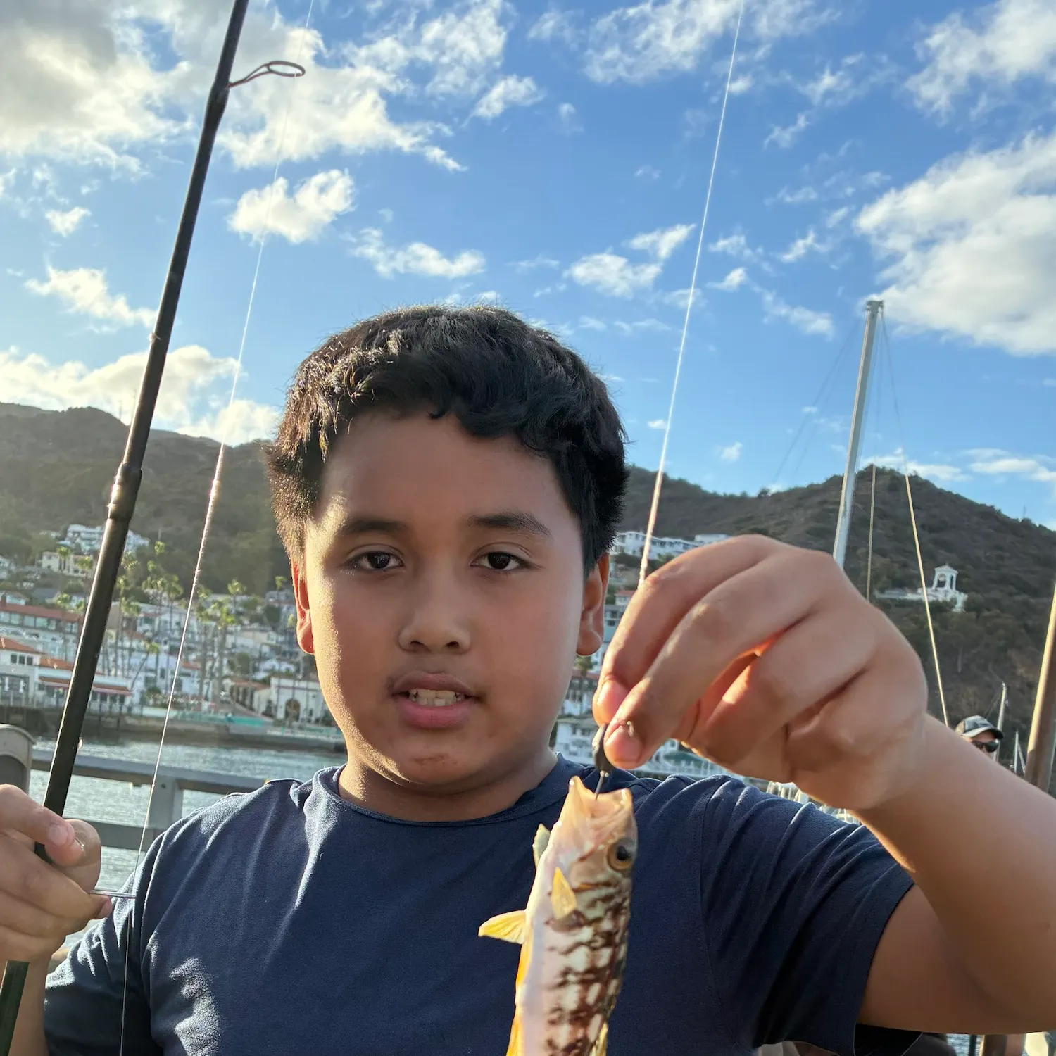 Kelp bass caught on Fishbrain