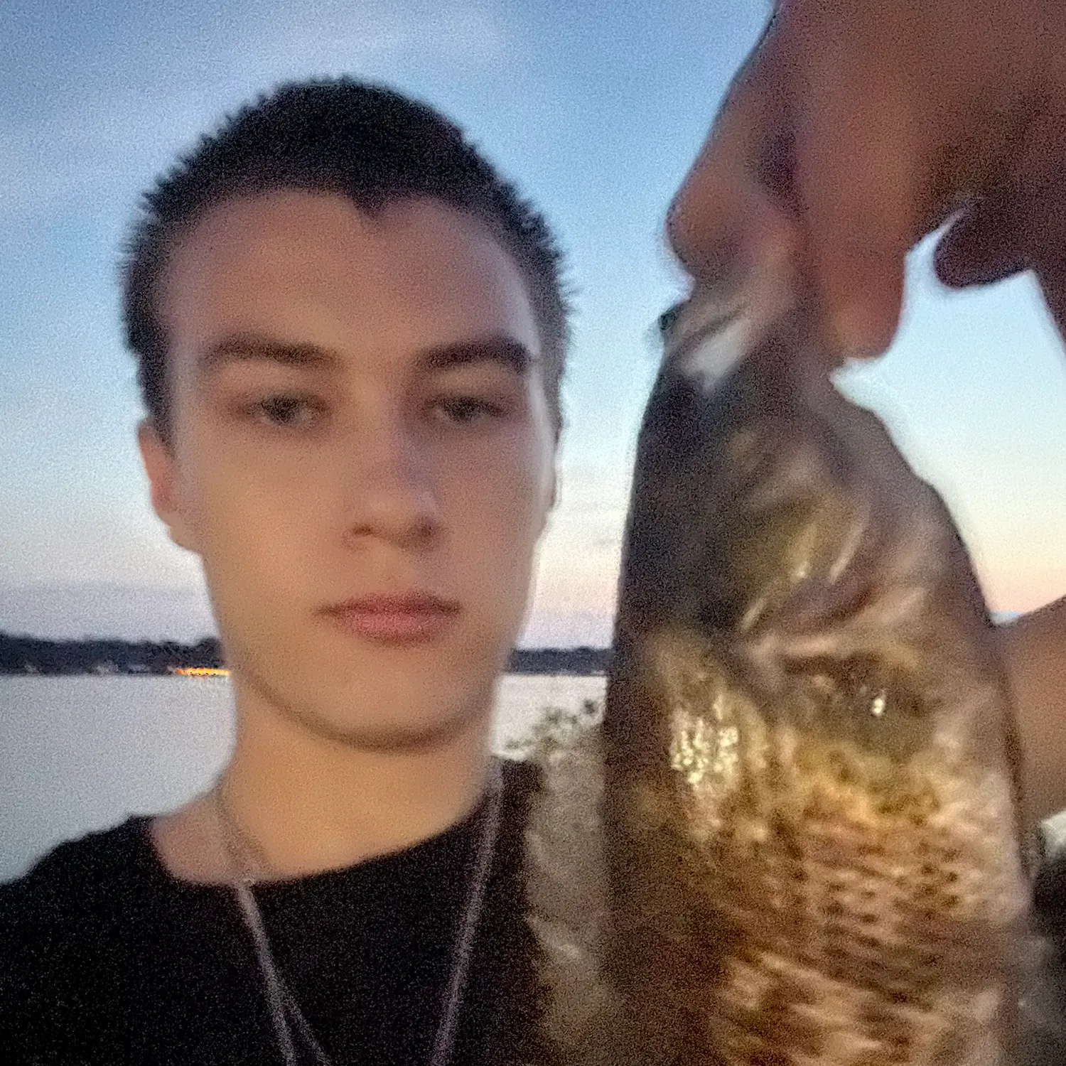 Rock bass caught on Fishbrain