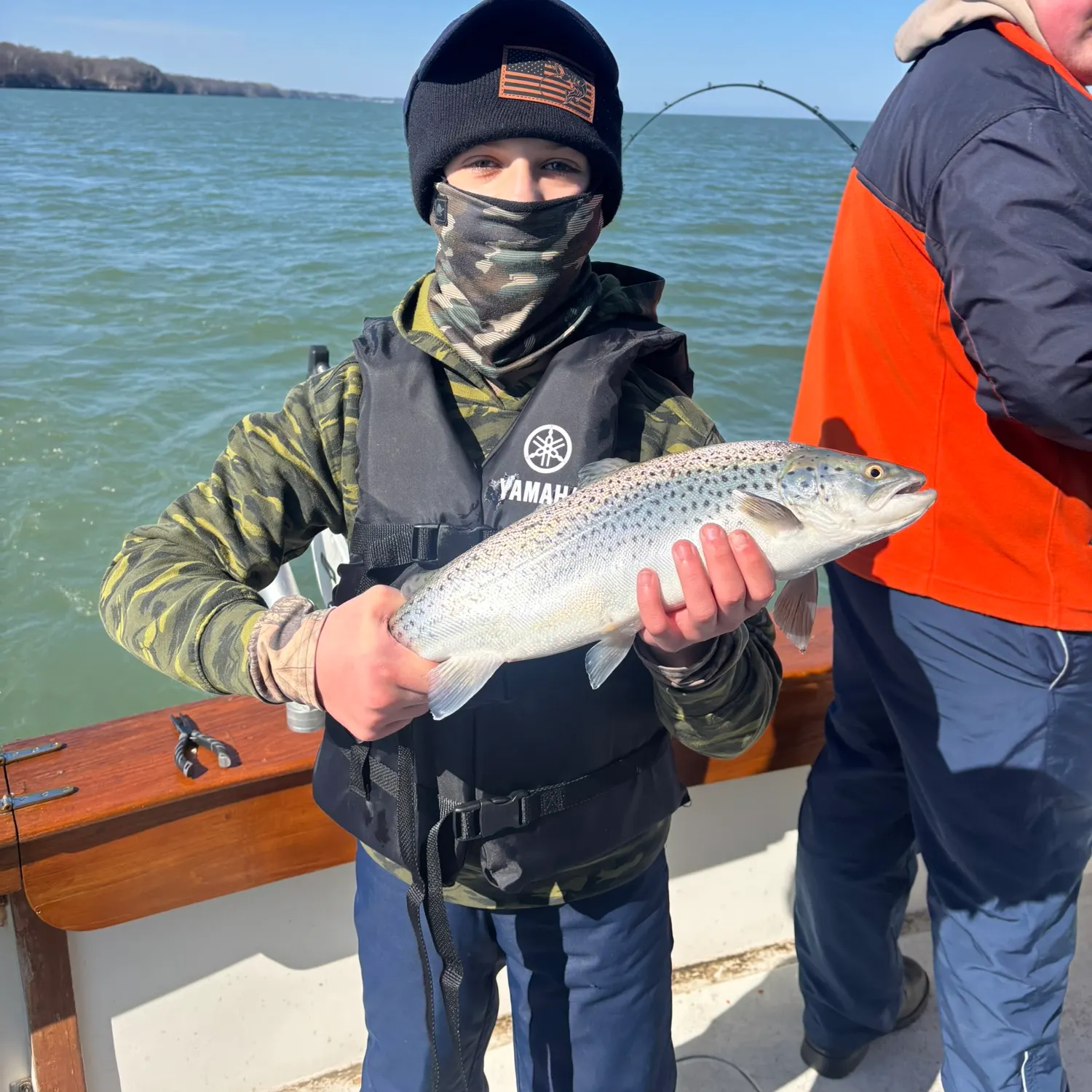 The most recent Sea trout catches on Fishbrain
