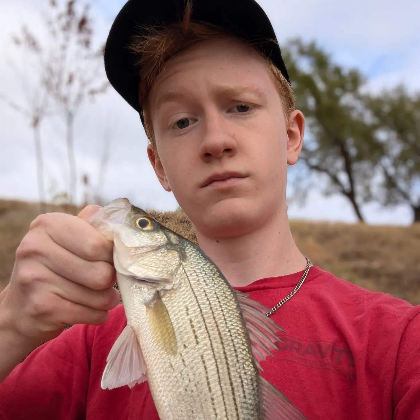 White bass caught on Fishbrain
