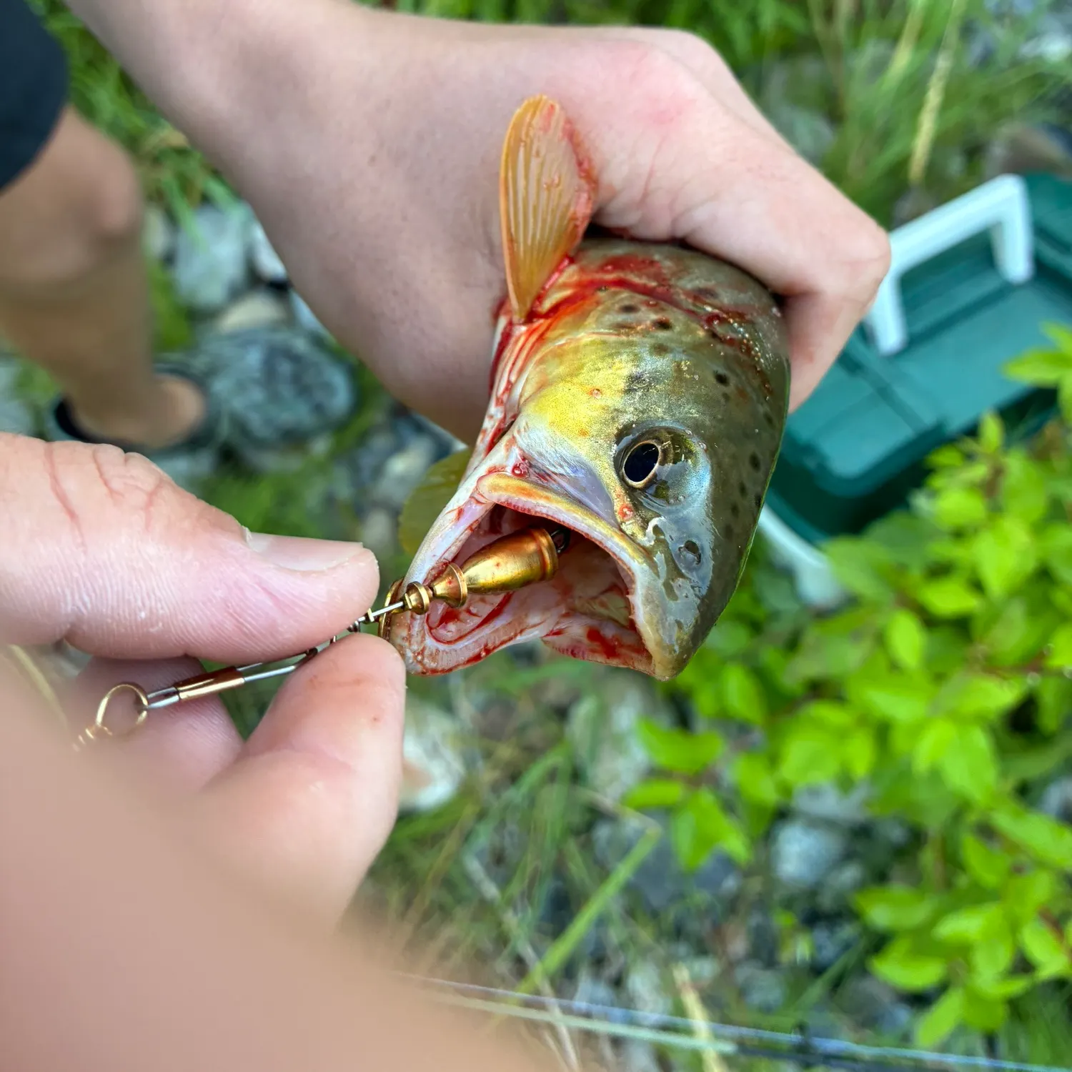 catch