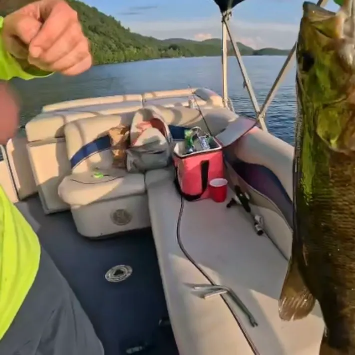 Smallmouth bass caught on Fishbrain