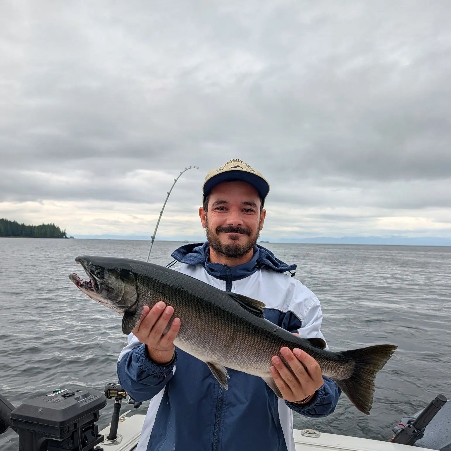 Coho salmon caught on Fishbrain