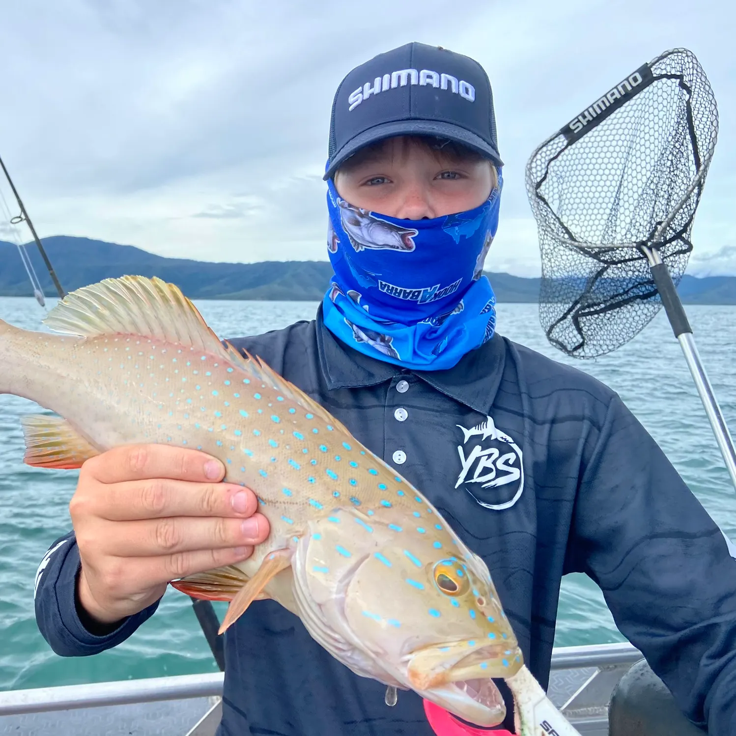 The most recent Spotted coralgrouper catches on Fishbrain