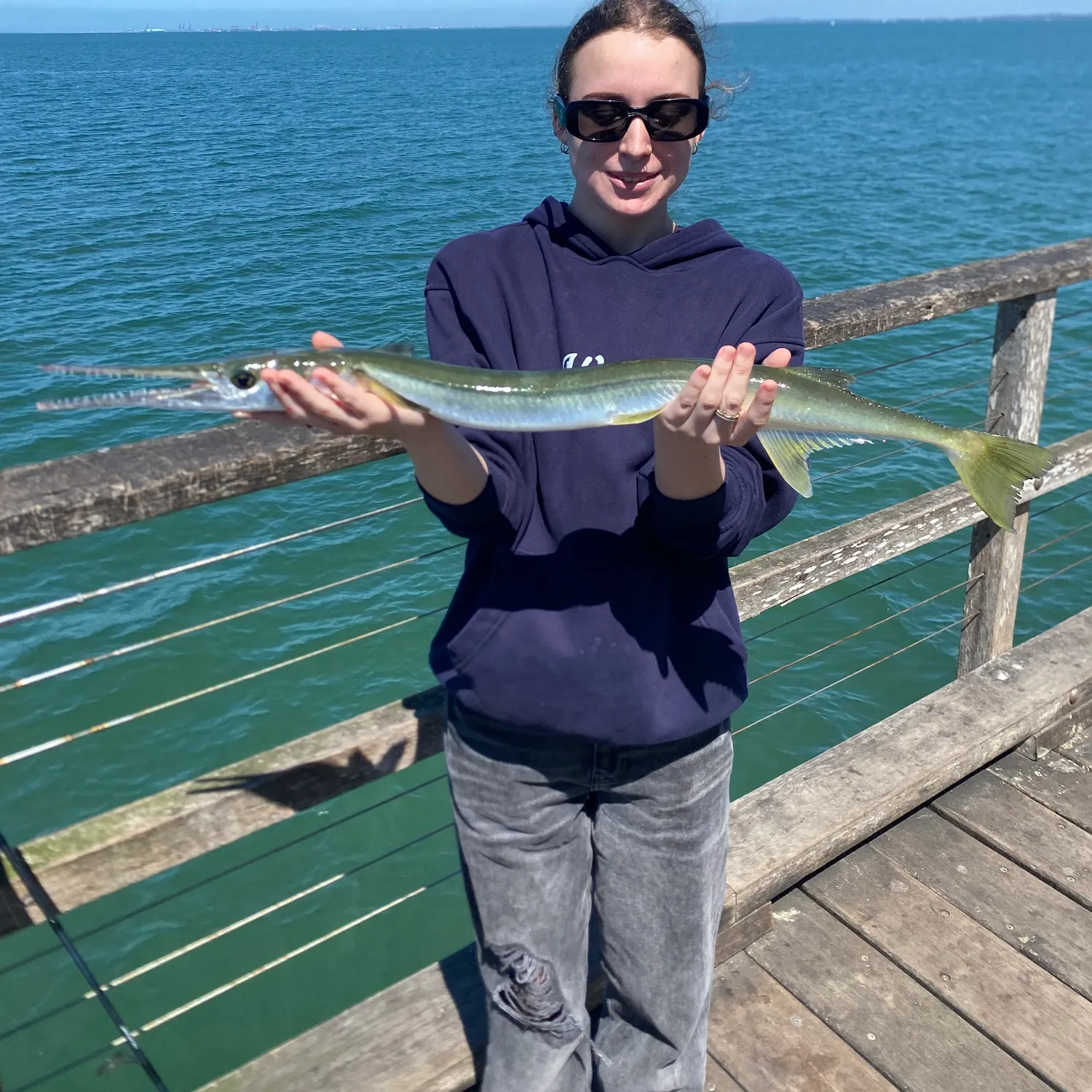 Flat needlefish caught on Fishbrain