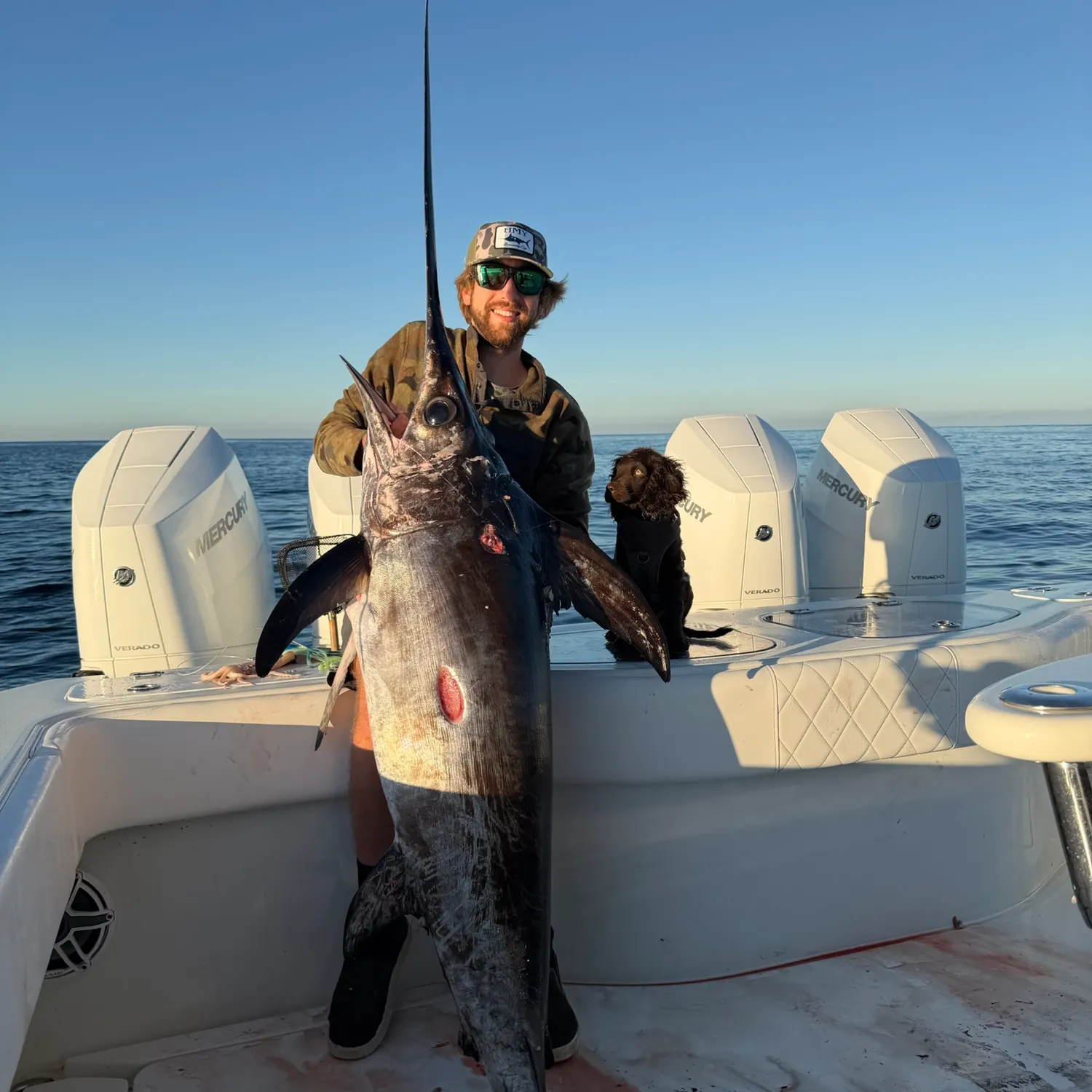 The most recent Swordfish catches on Fishbrain