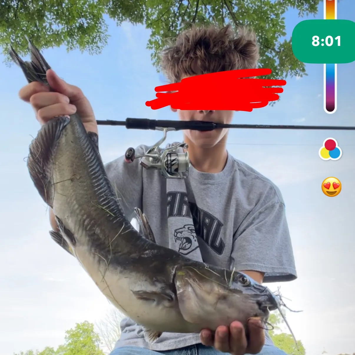Channel catfish caught on Fishbrain
