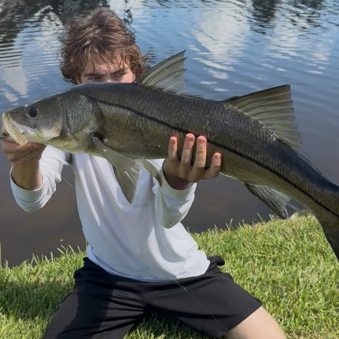 Common snook caught on Fishbrain
