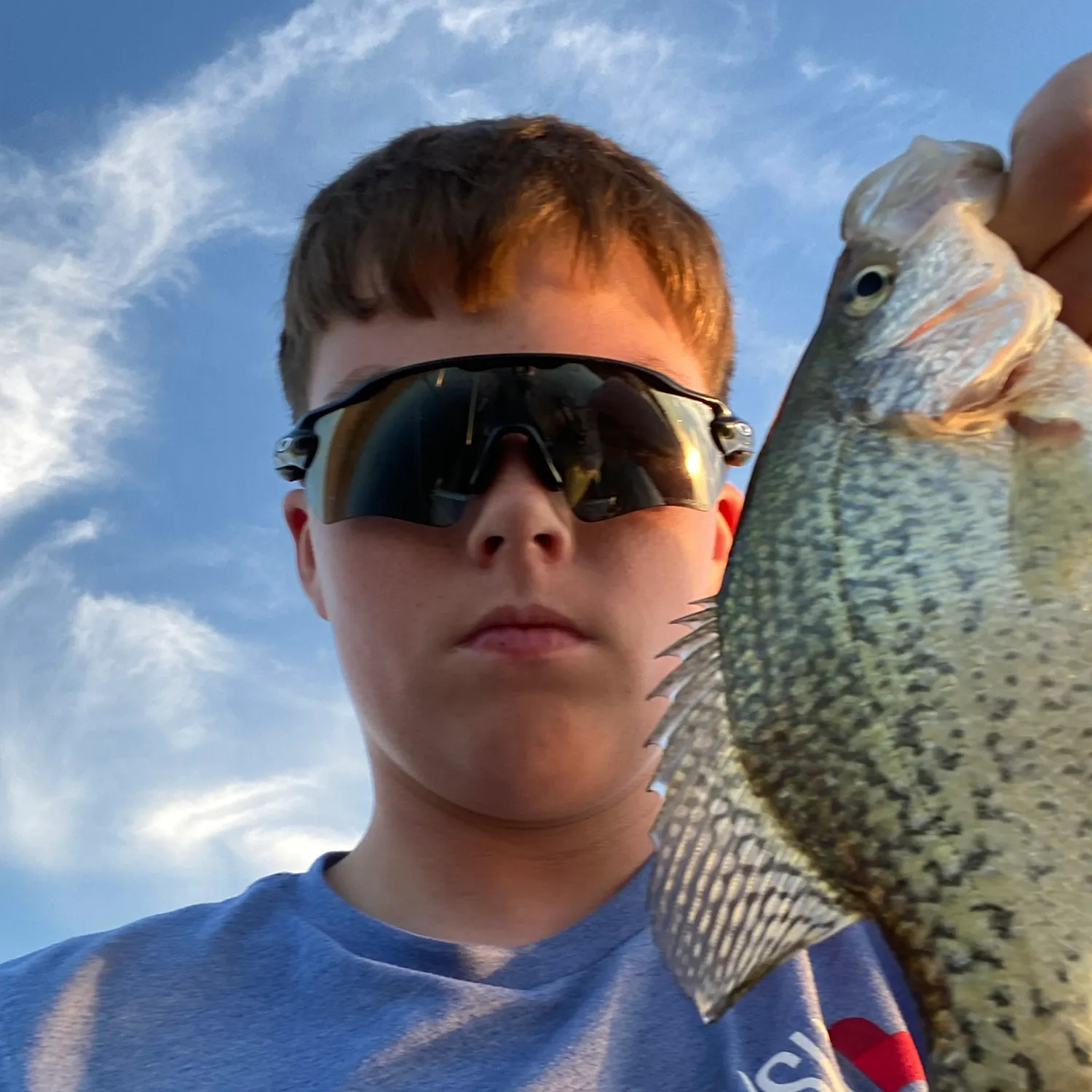 Black crappie caught on Fishbrain
