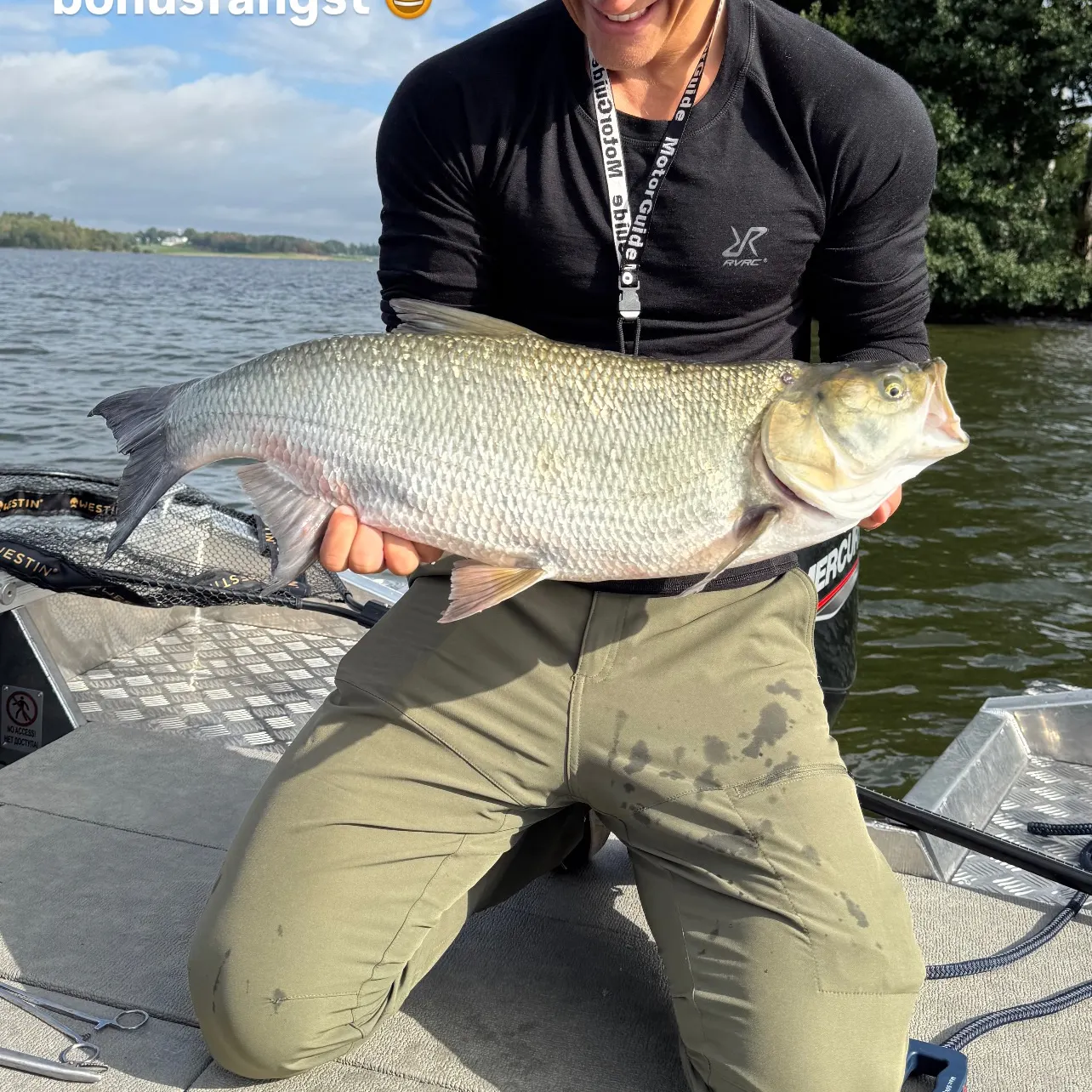 Asp caught on Fishbrain