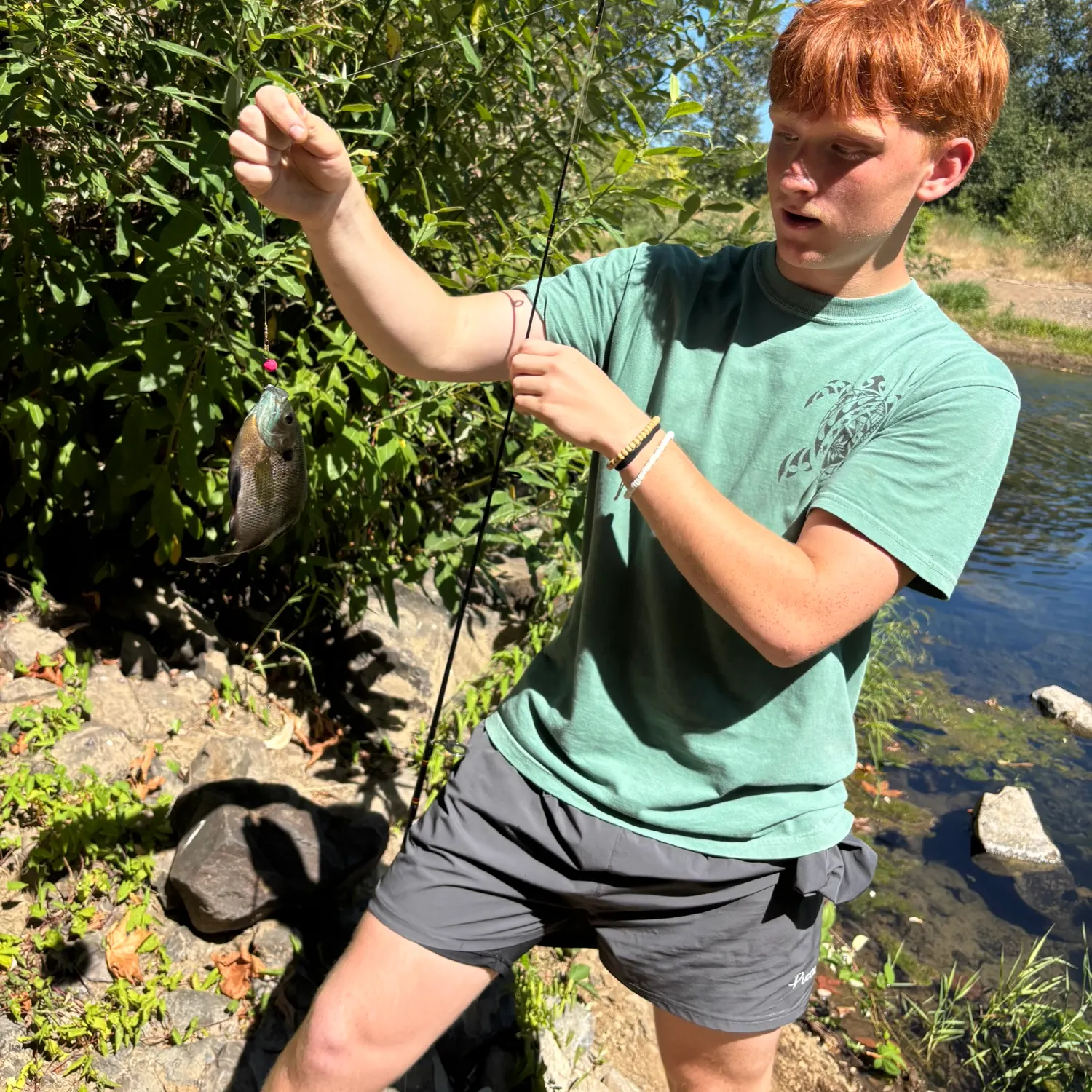 recently logged catches