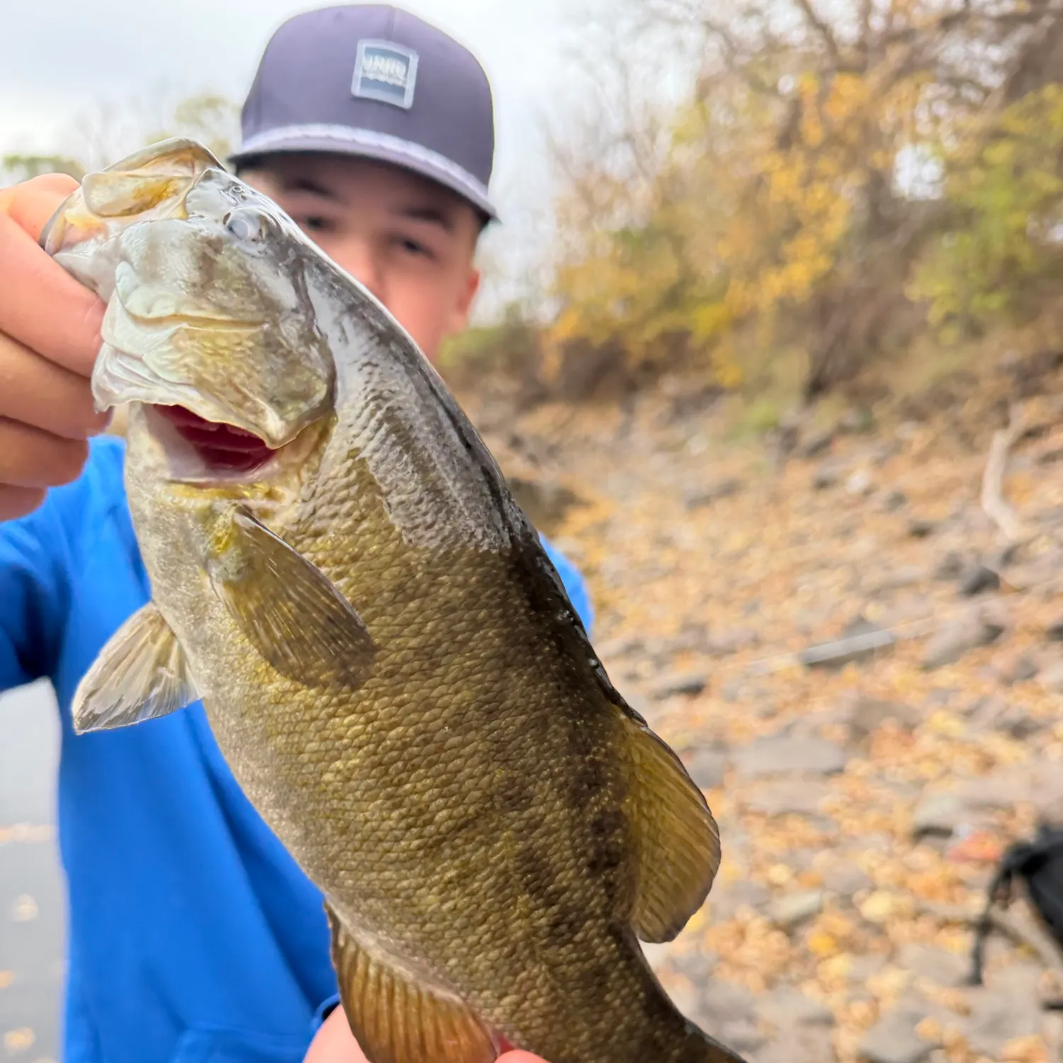 Smallmouth bass caught on Fishbrain