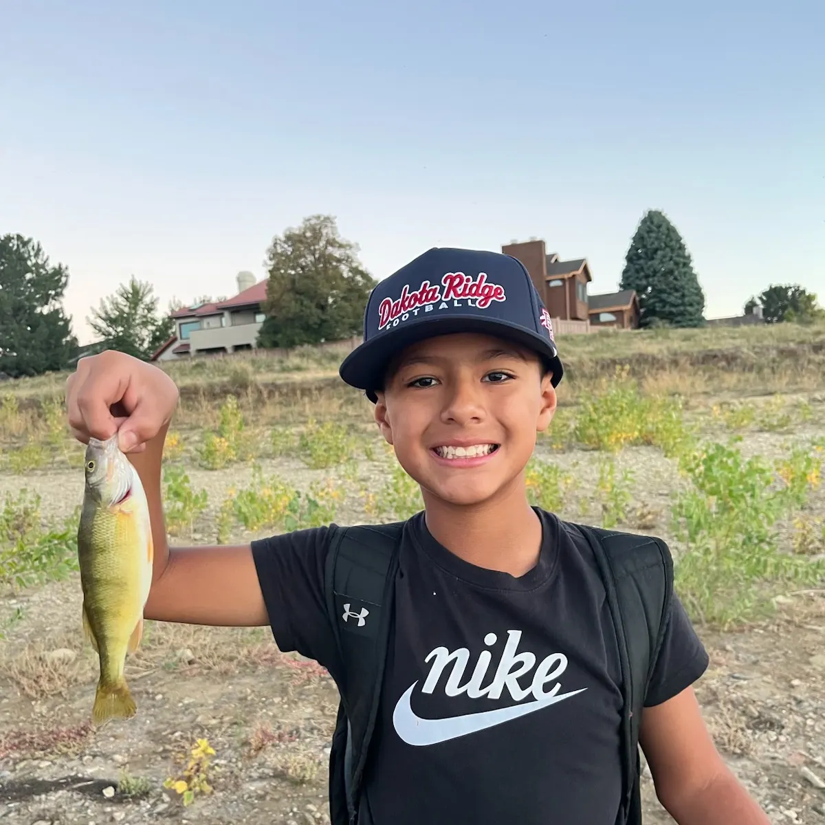 Yellow perch caught on Fishbrain