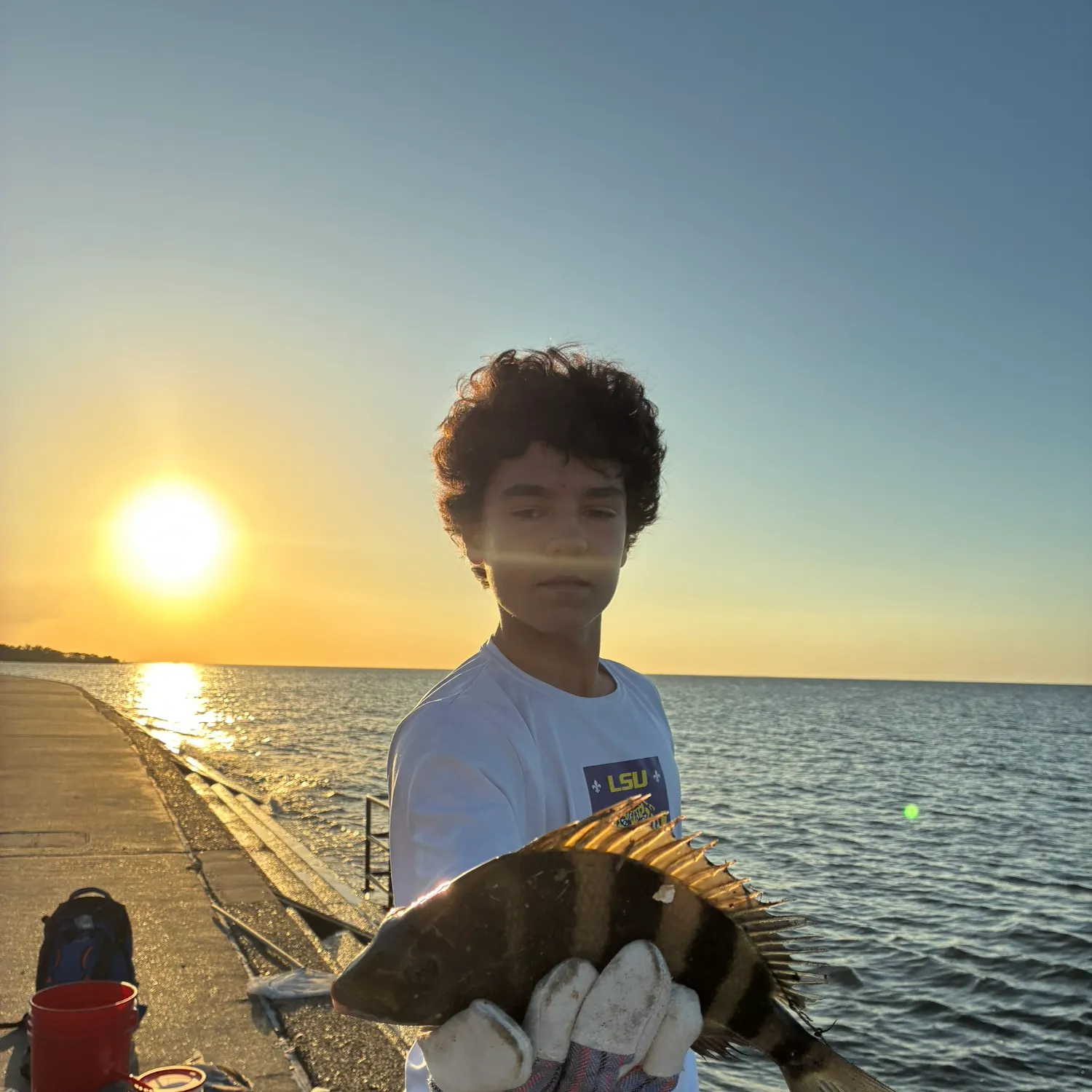 The most recent Sheepshead catches on Fishbrain