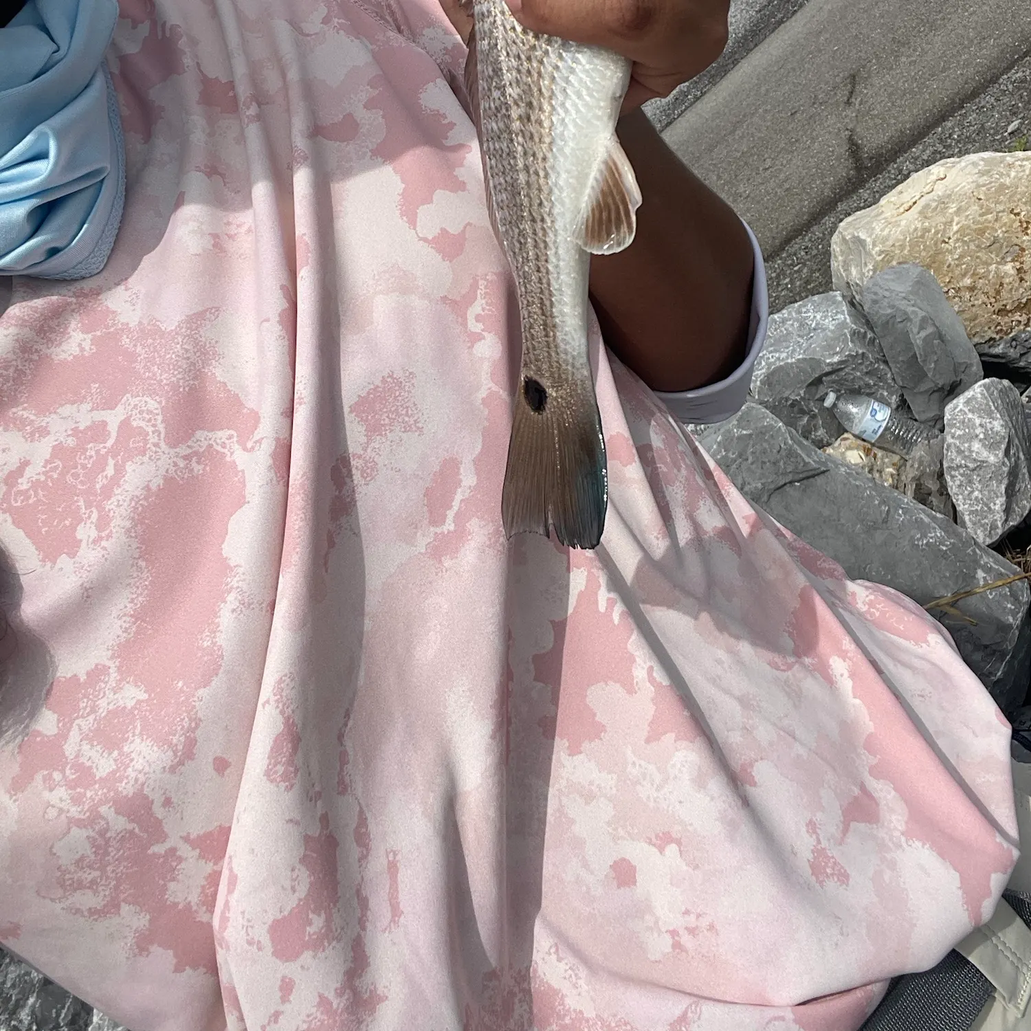 Red drum caught on Fishbrain