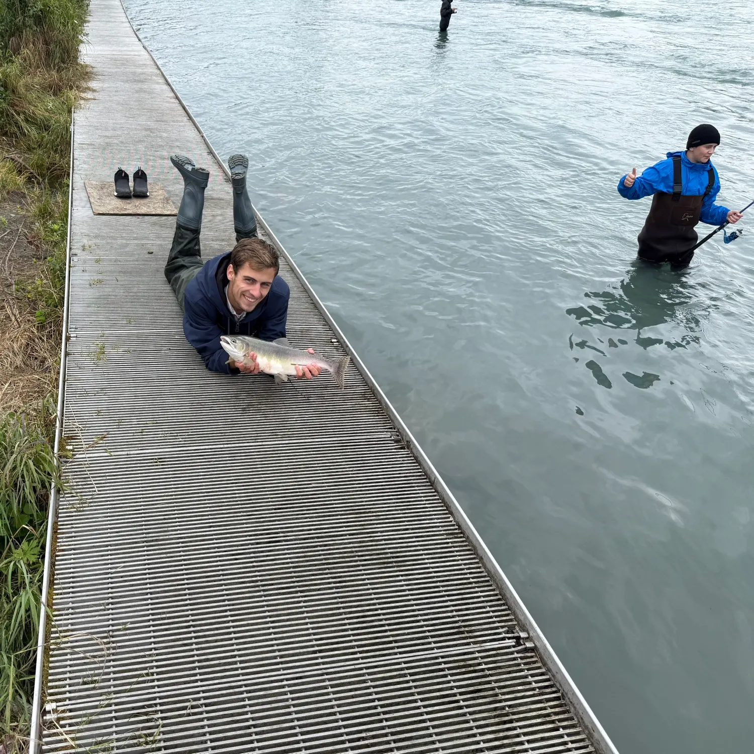 The most recent Pink salmon catches on Fishbrain