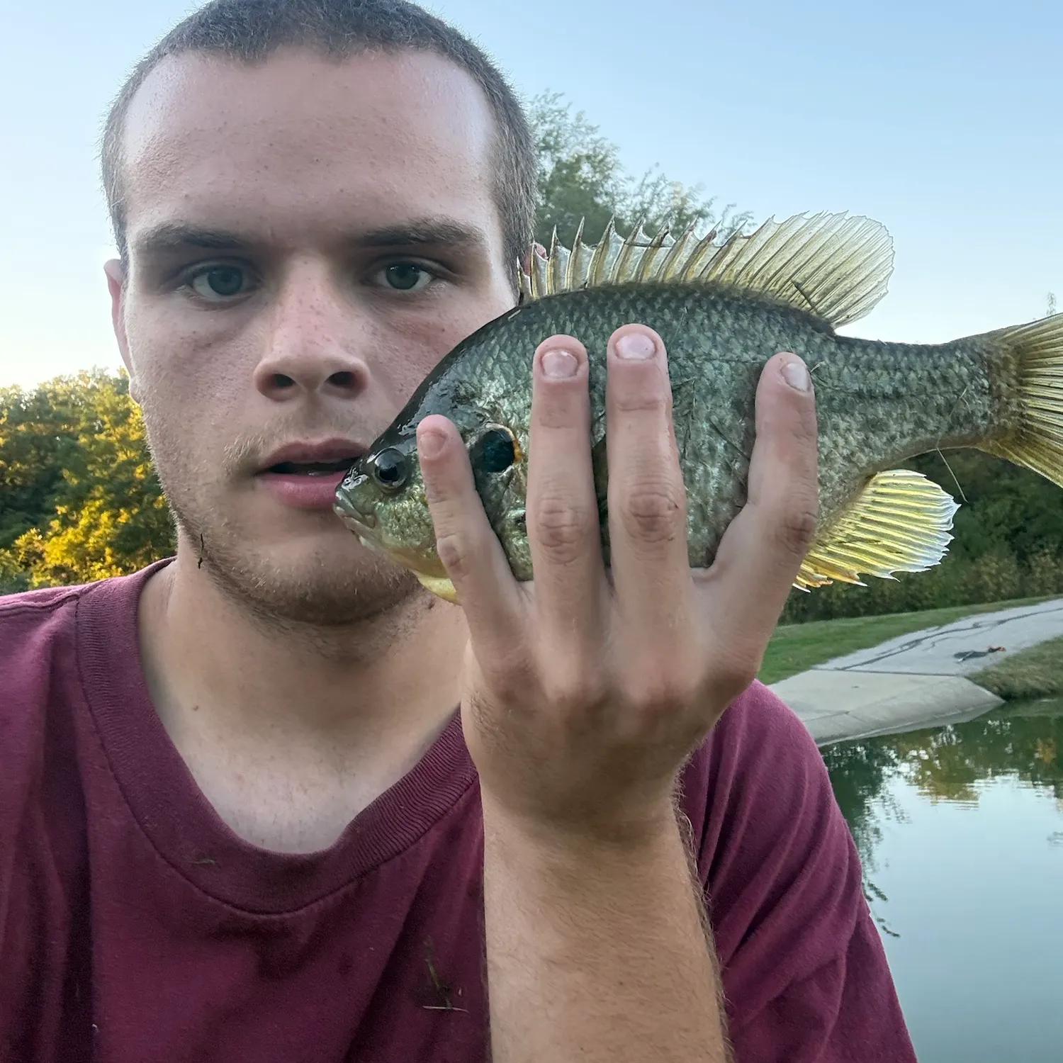 Redear sunfish caught on Fishbrain