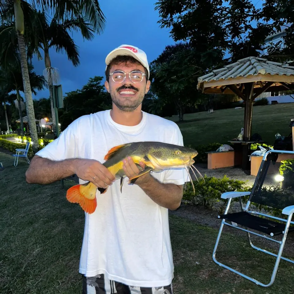 The most recent Redtail catfish catches on Fishbrain