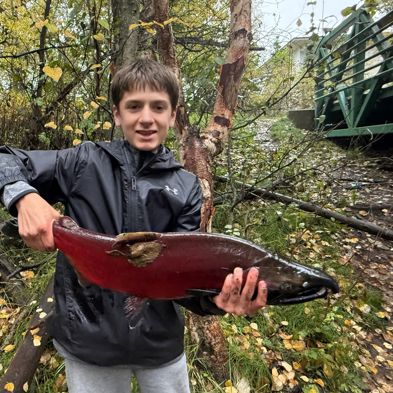 Coho salmon caught on Fishbrain