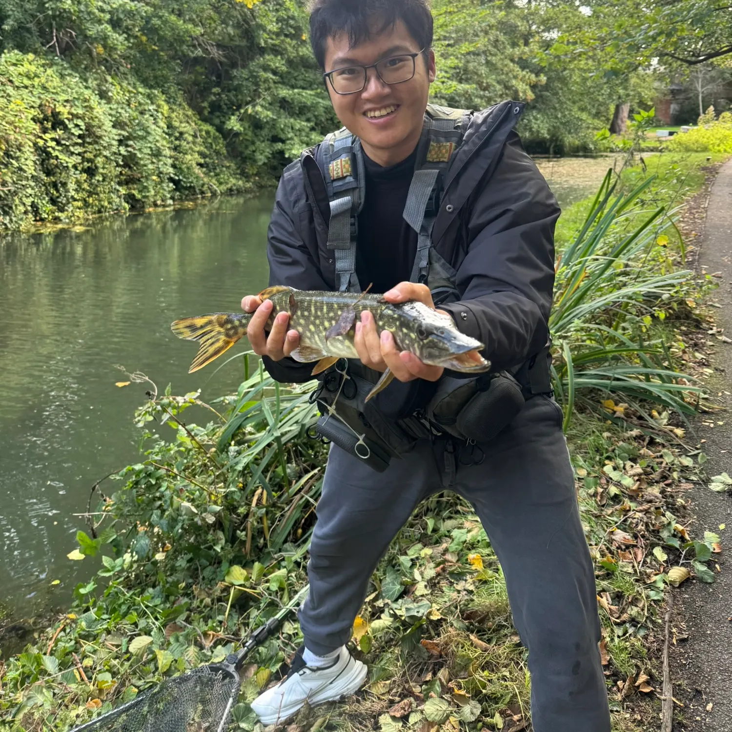 Northern pike caught on Fishbrain