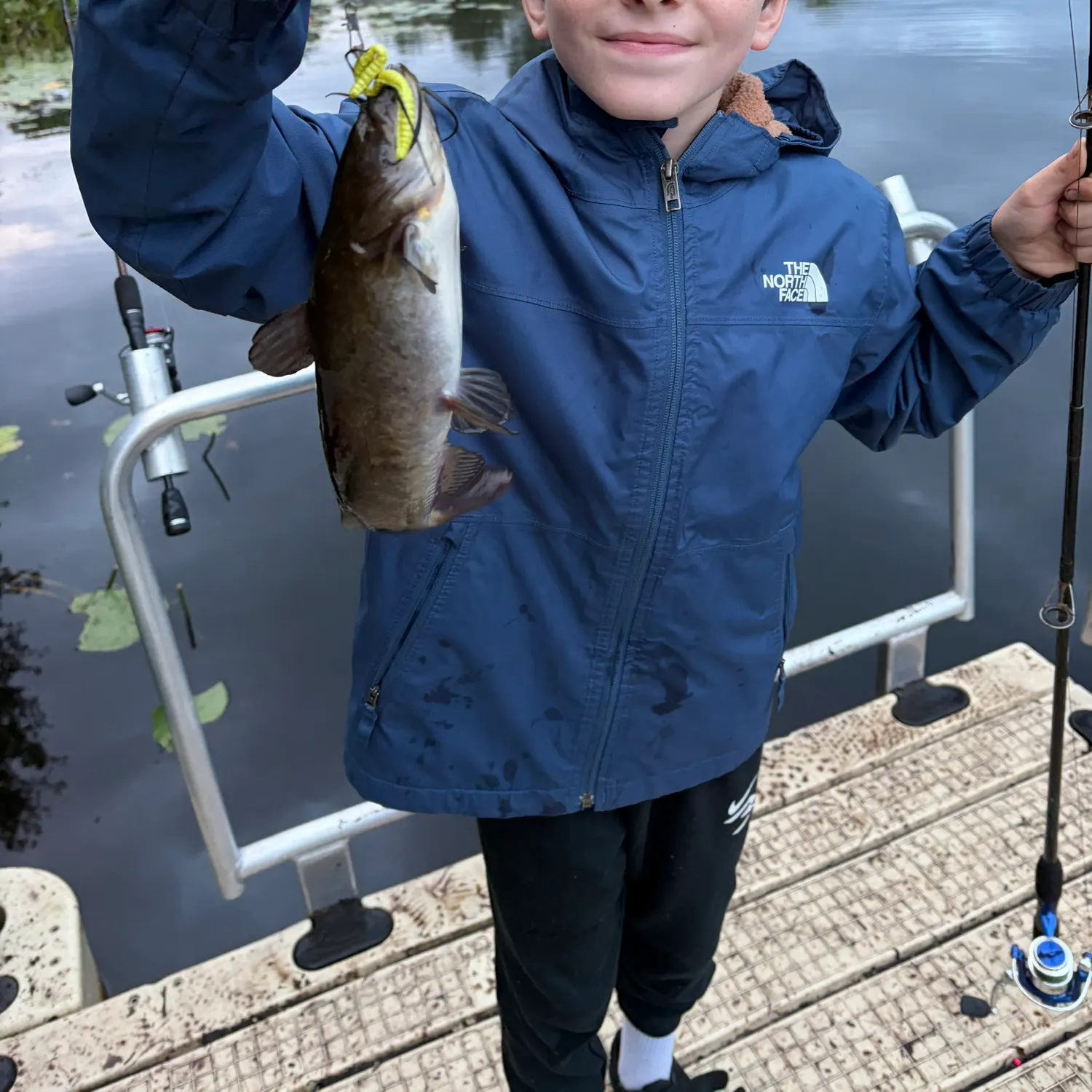 Black bullhead caught on Fishbrain